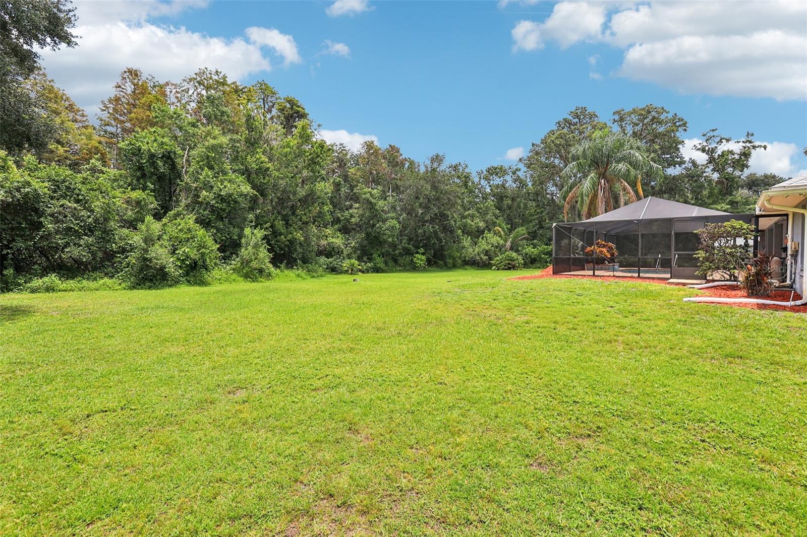 Image 47 of 58 For 10537 Smokie Creek Lane