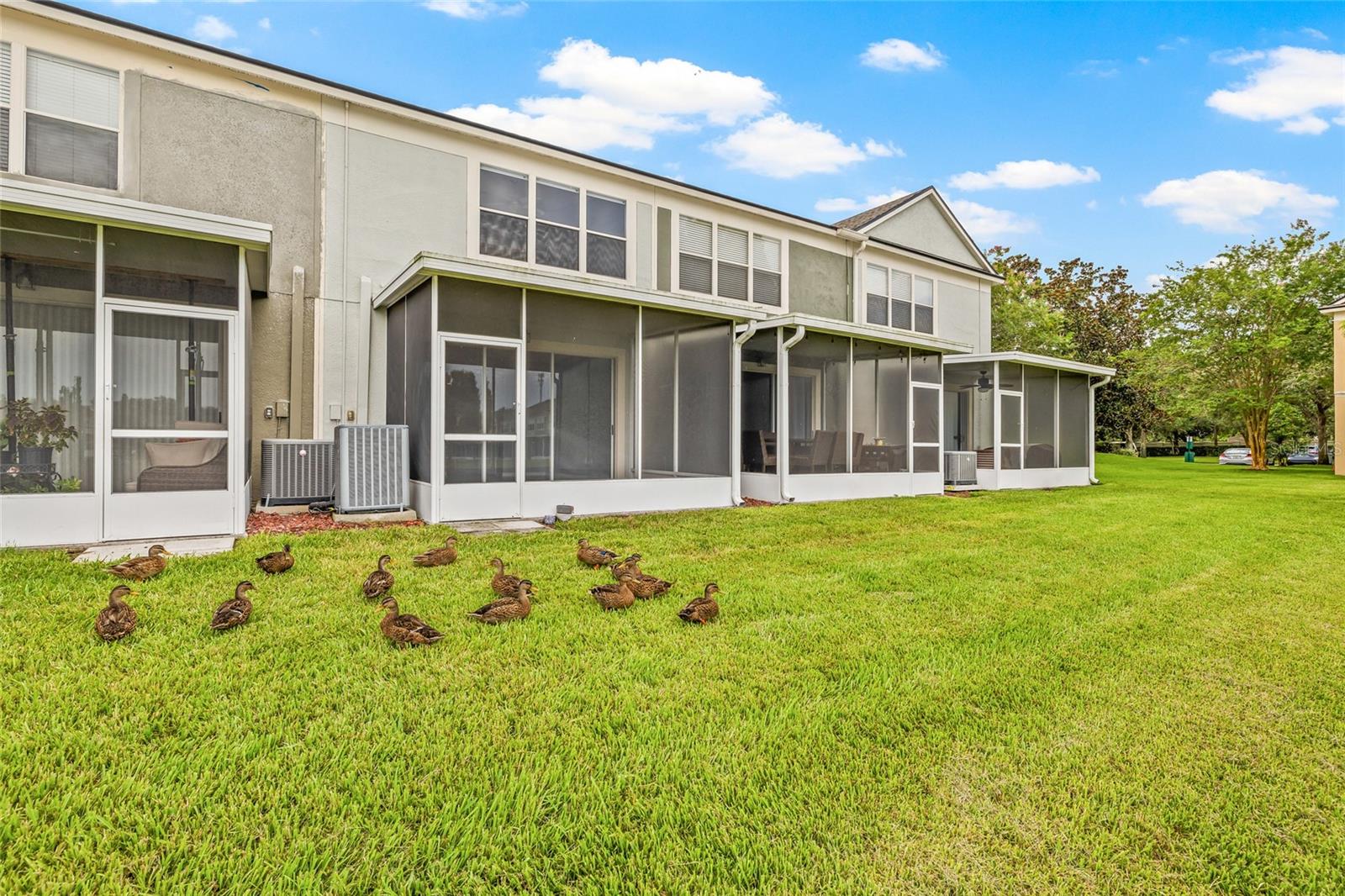 Image 37 of 64 For 4879 Pond Ridge Drive