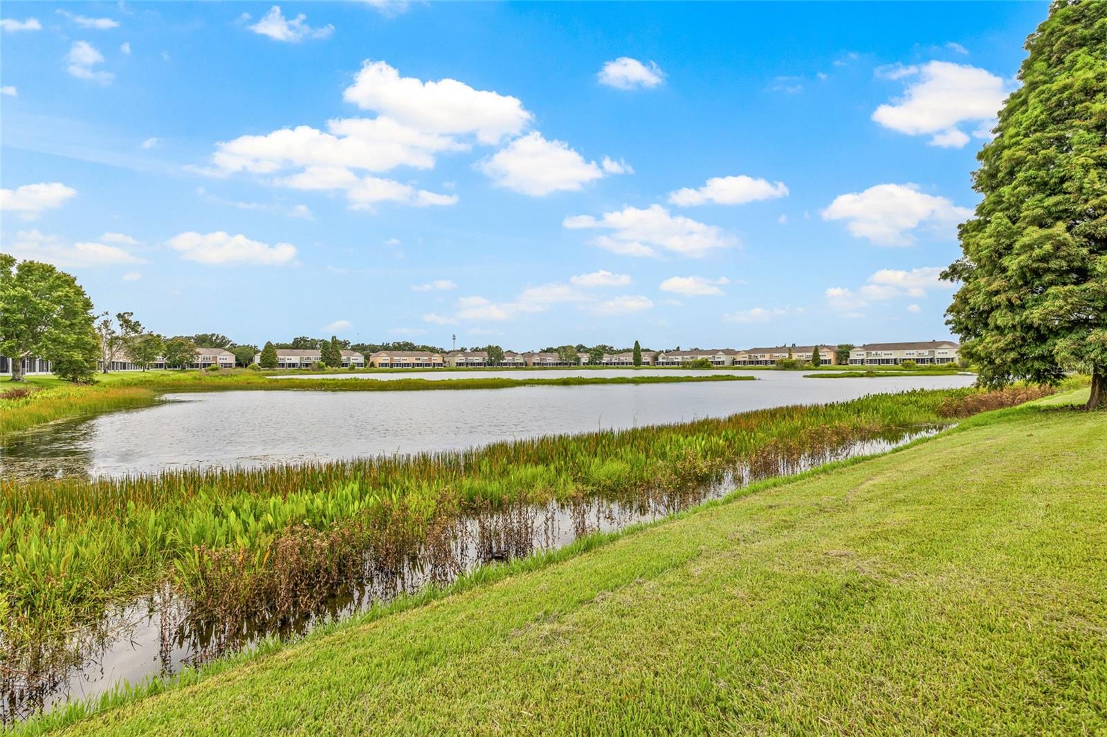 Image 40 of 64 For 4879 Pond Ridge Drive