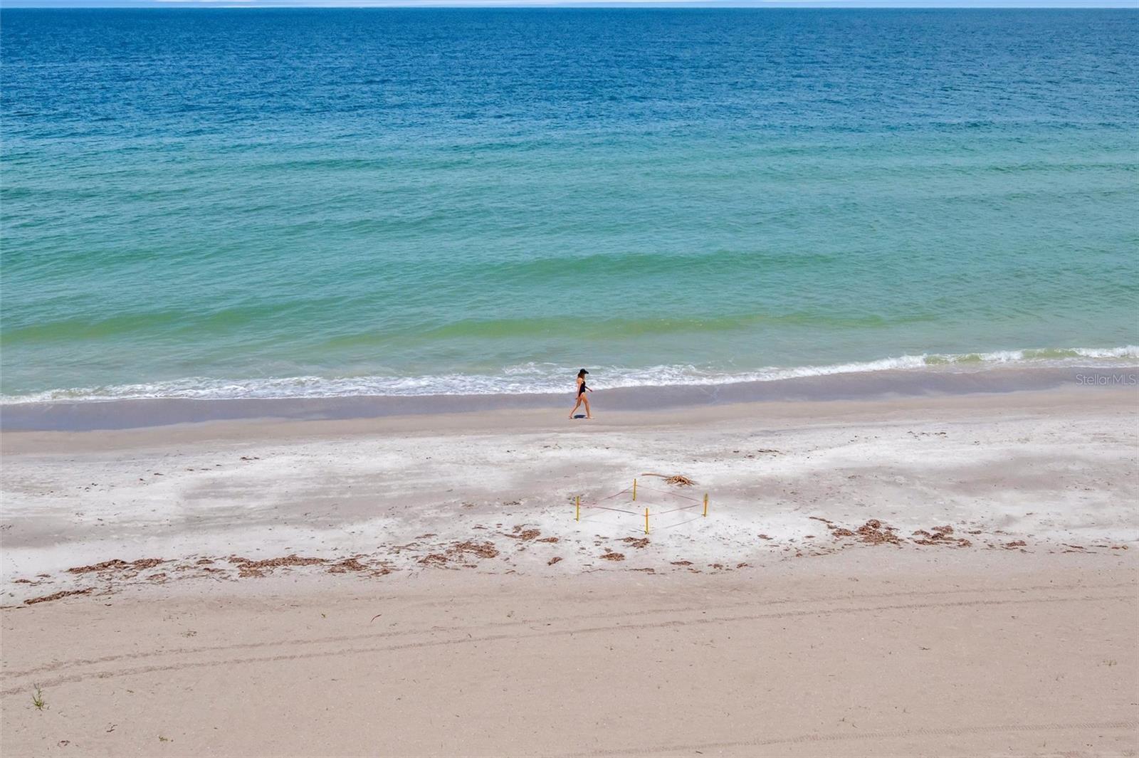 Image 5 of 74 For 1586 Gulf Boulevard 2401