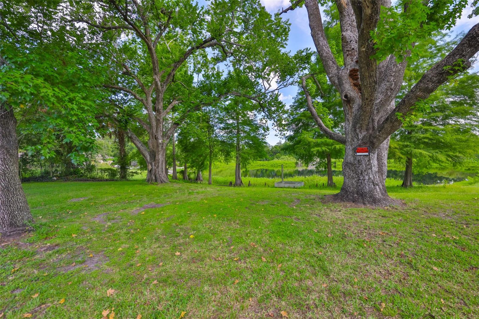 Image 46 of 54 For 1708 Pond Lake Drive
