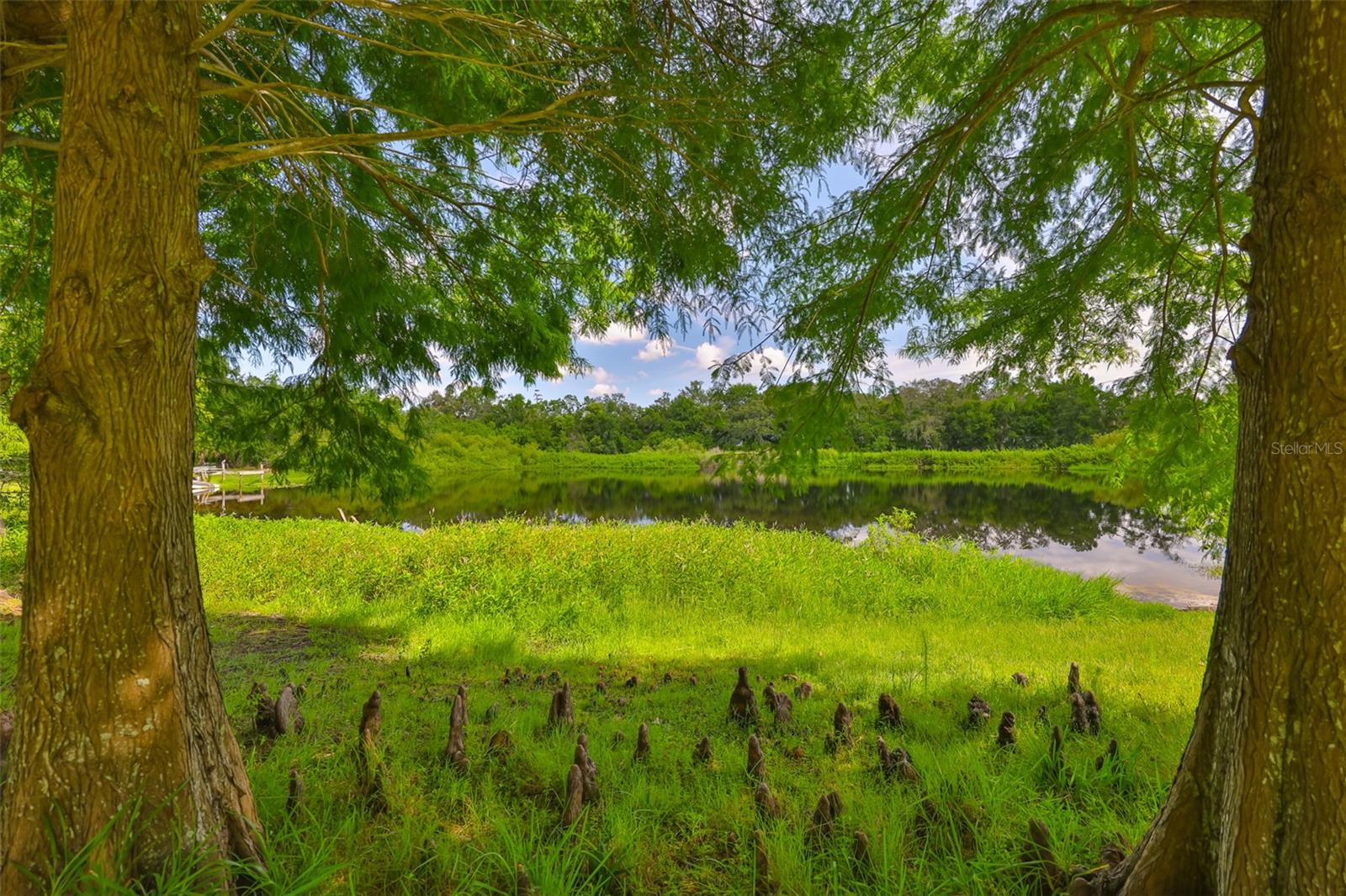 Image 49 of 54 For 1708 Pond Lake Drive