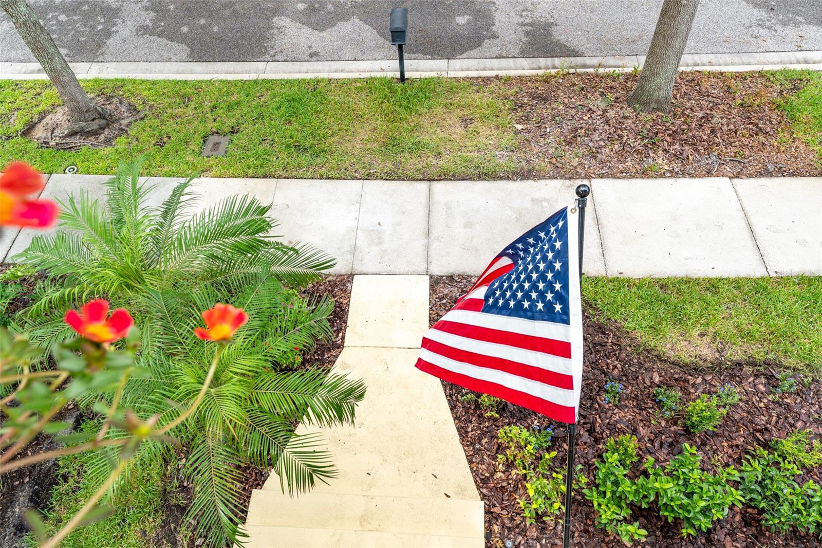 Image 12 of 47 For 16014 Palmettorun Cir