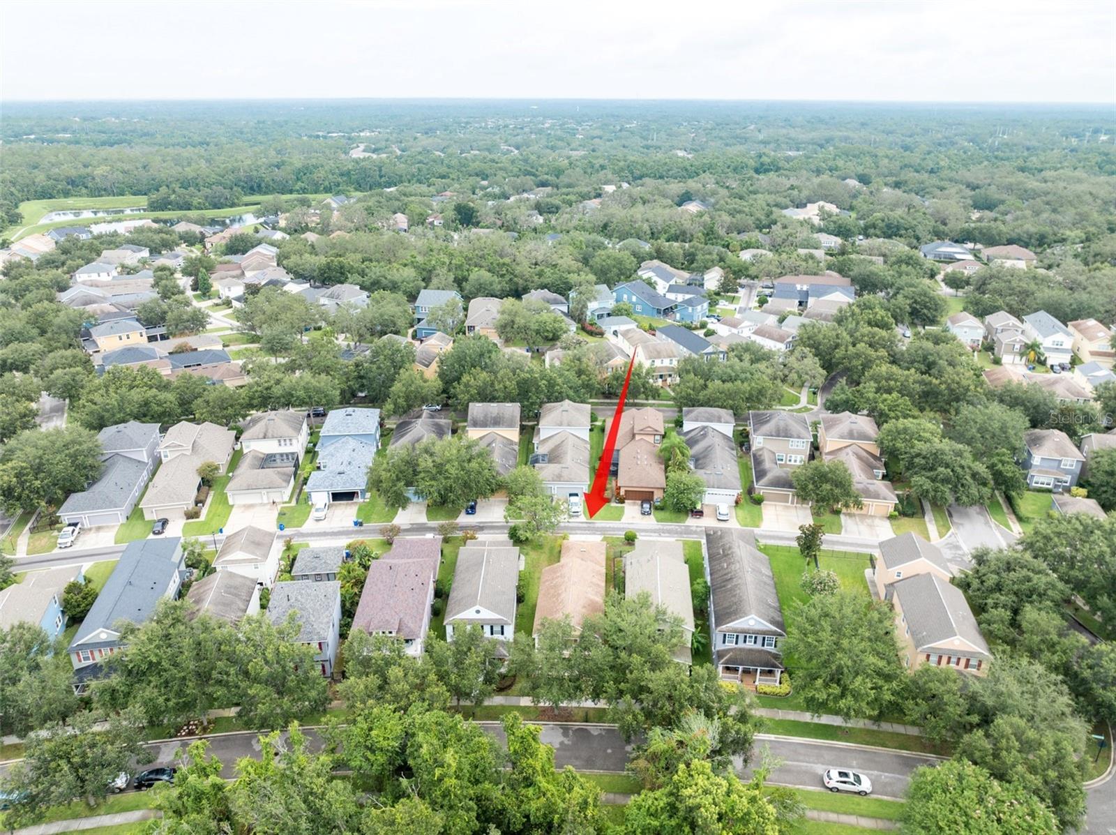 Image 43 of 47 For 16014 Palmettorun Cir
