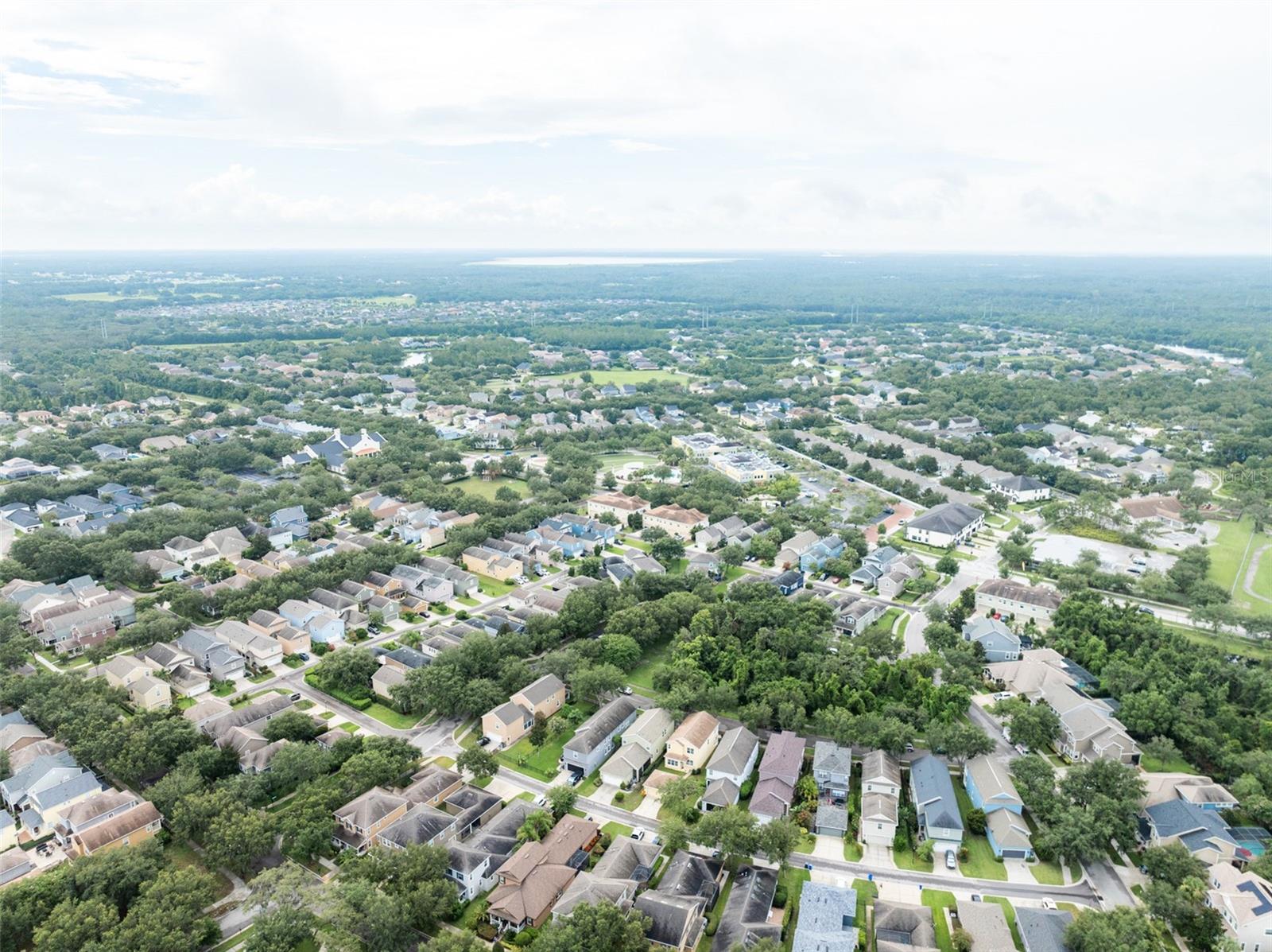 Image 45 of 47 For 16014 Palmettorun Cir