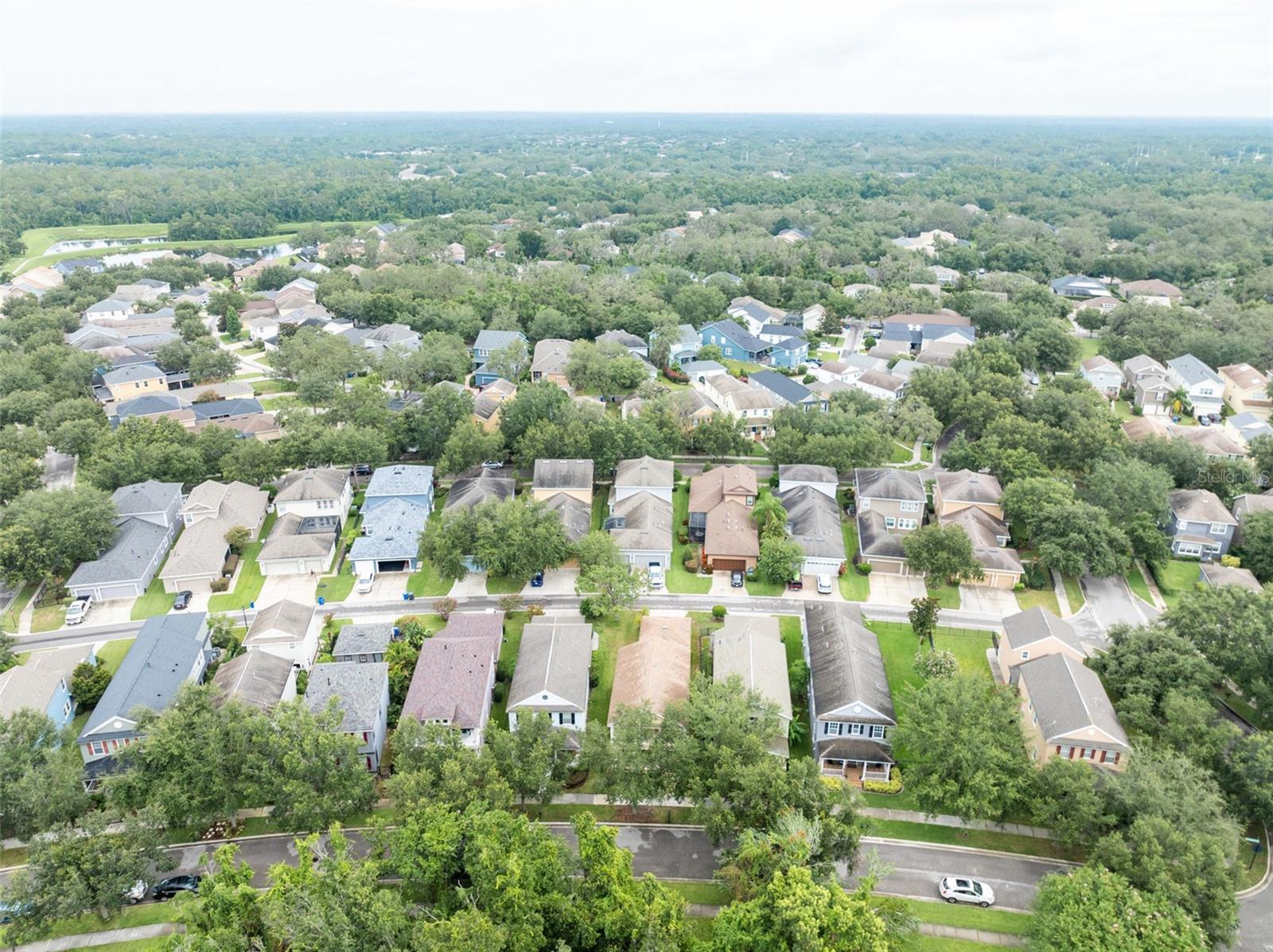 Image 46 of 47 For 16014 Palmettorun Cir