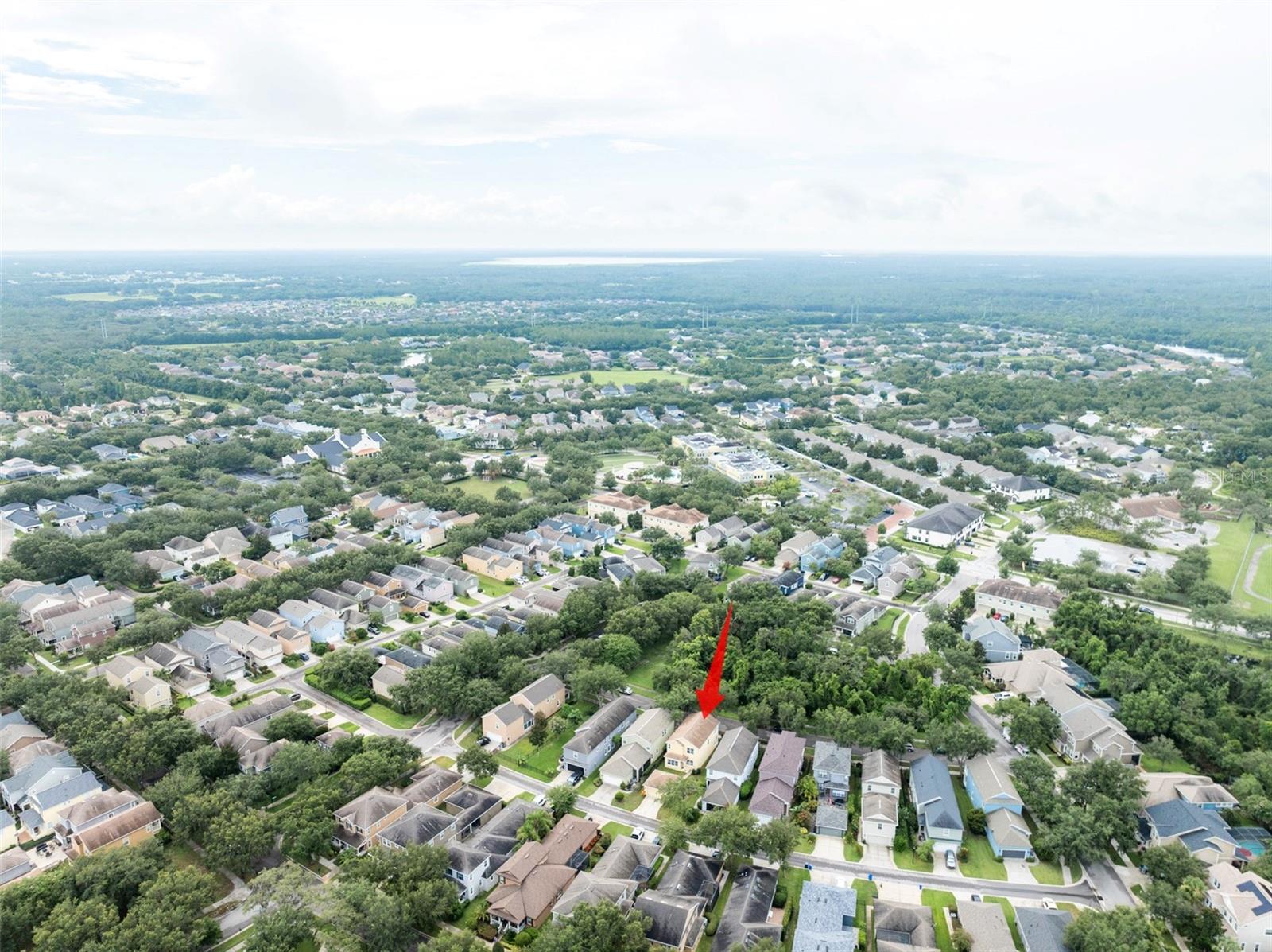 Image 47 of 47 For 16014 Palmettorun Cir