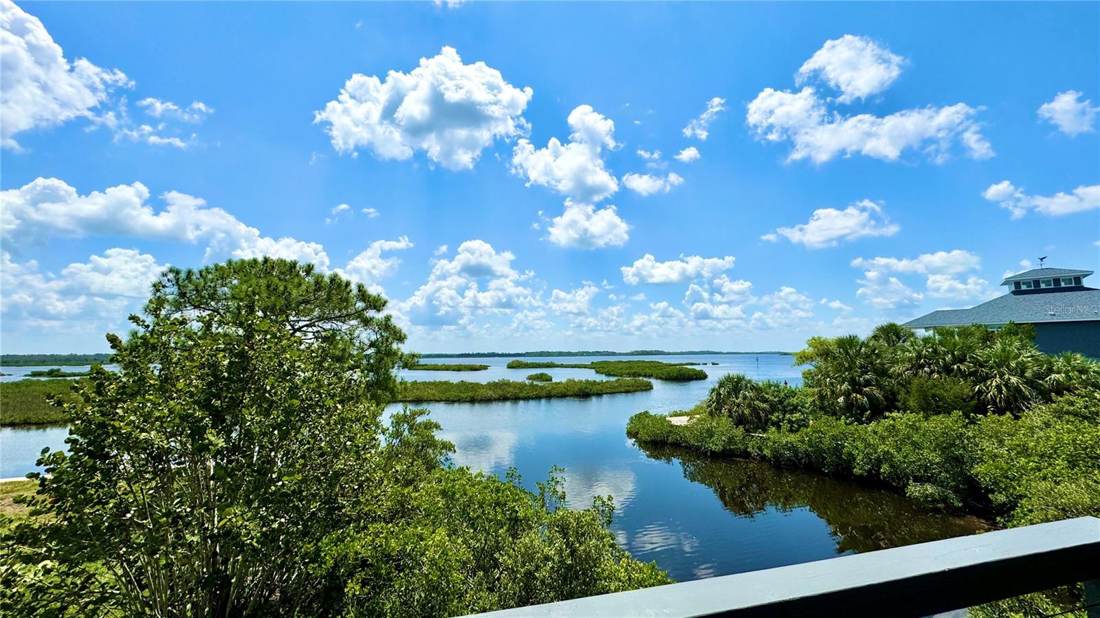 Listing photo id 5 for 10701 Pine Island Drive