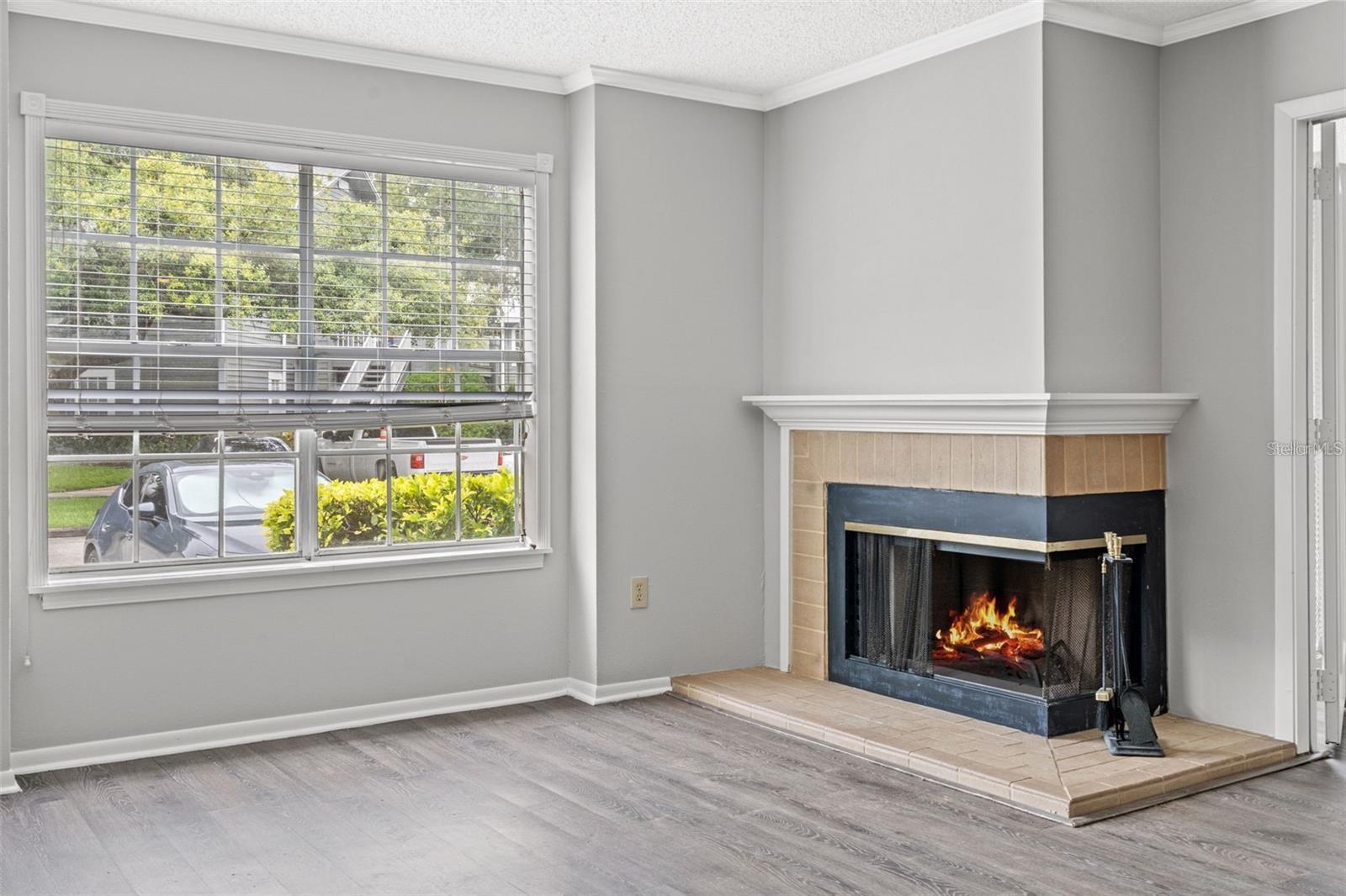 Image 4 of 17 For 11811 Skylake Place E