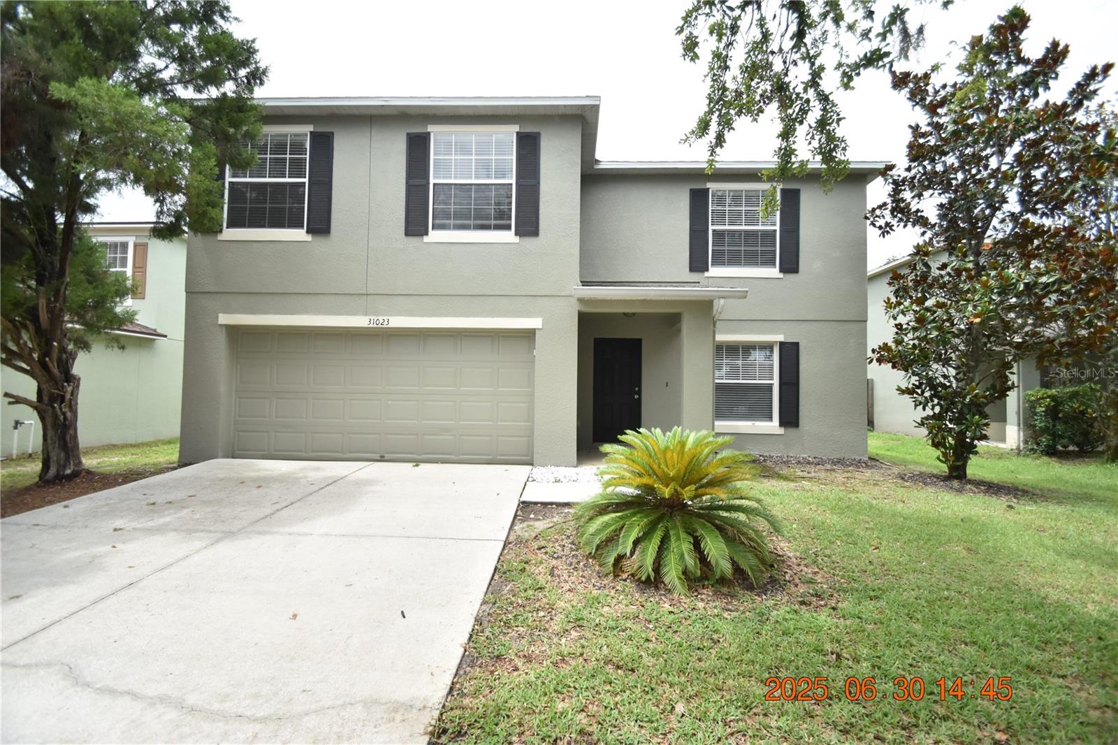 Details for 31023 Temple Stand Avenue, WESLEY CHAPEL, FL 33543