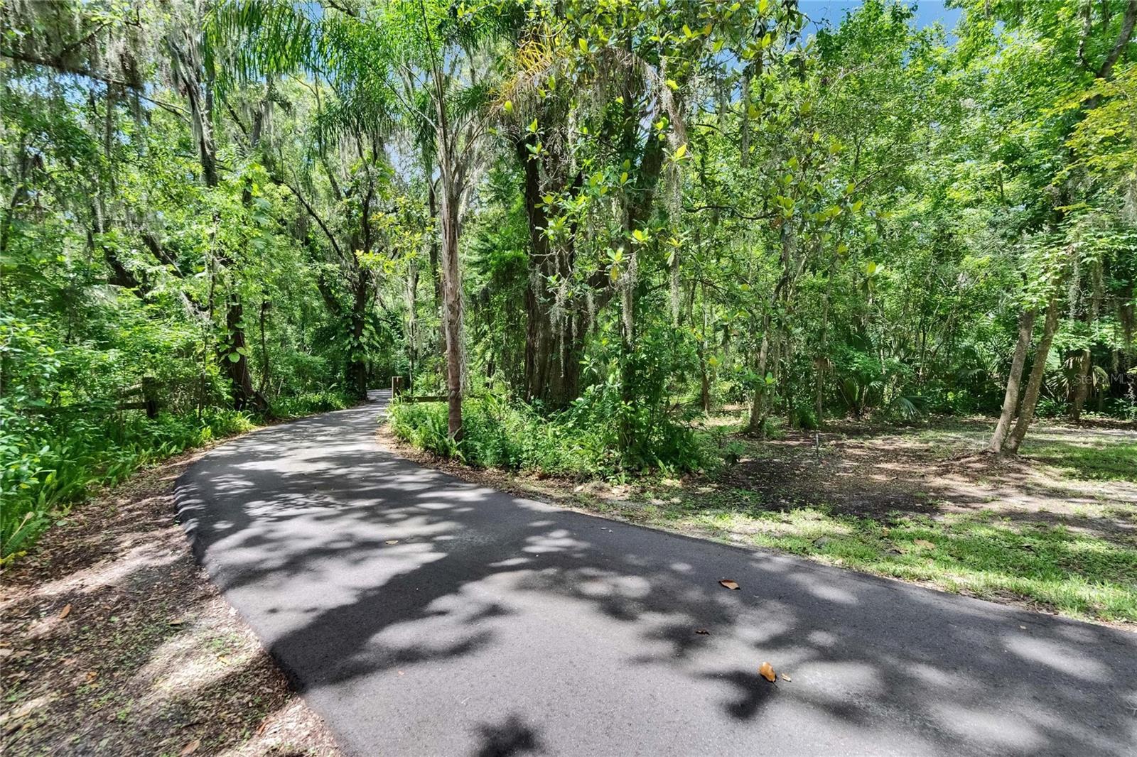 Image 36 of 100 For 3102 Trapnell Road