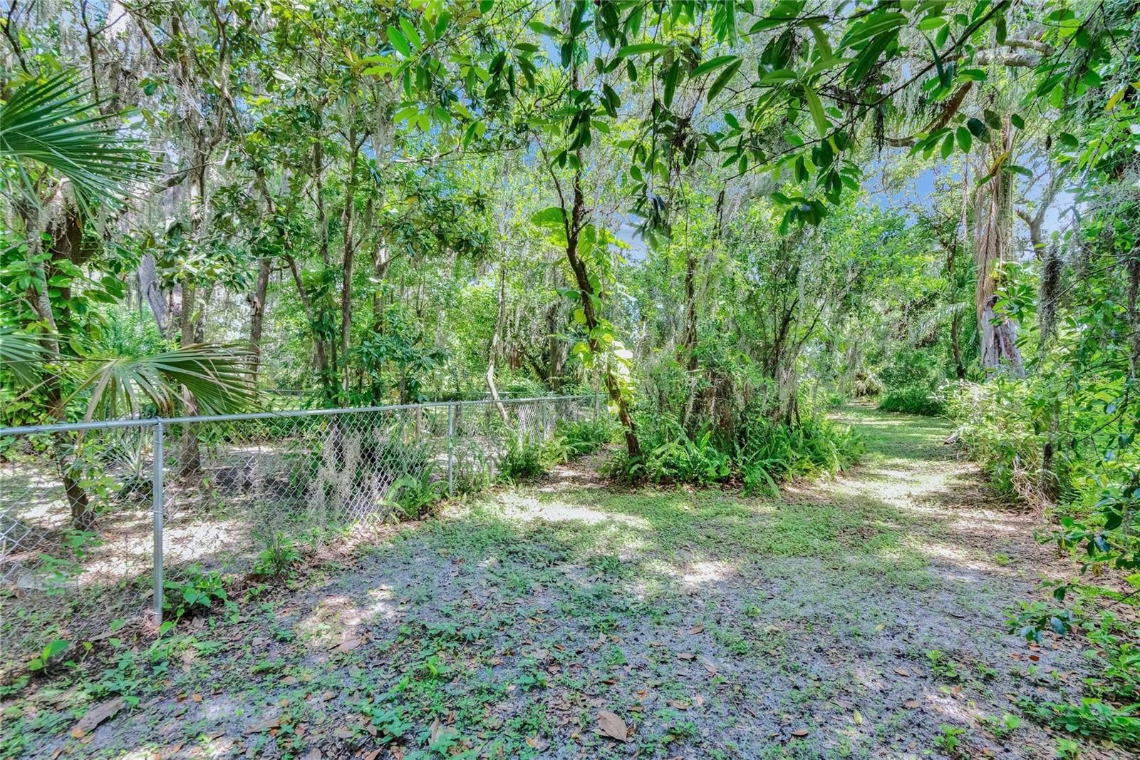Image 40 of 100 For 3102 Trapnell Road