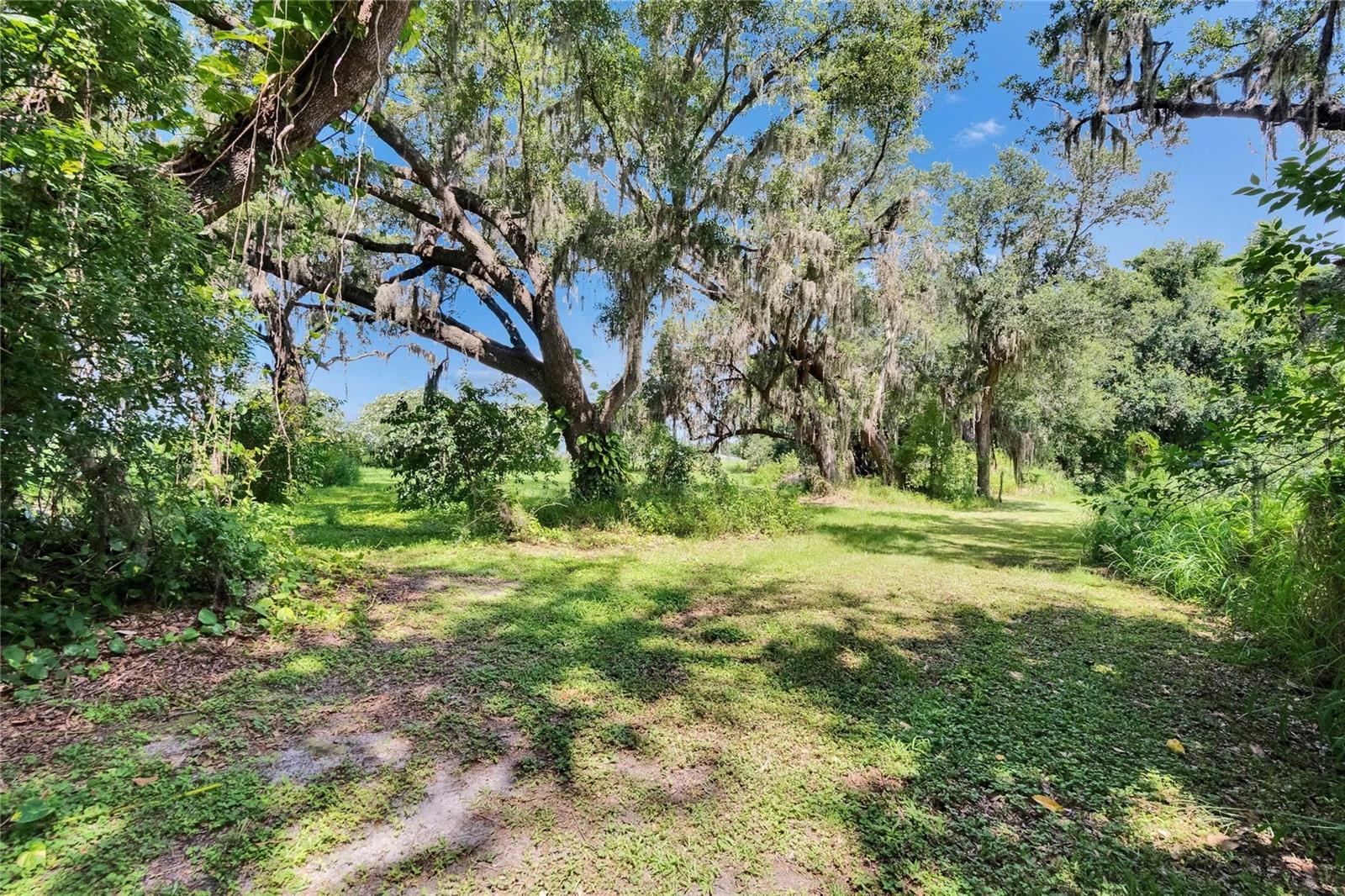 Image 42 of 100 For 3102 Trapnell Road