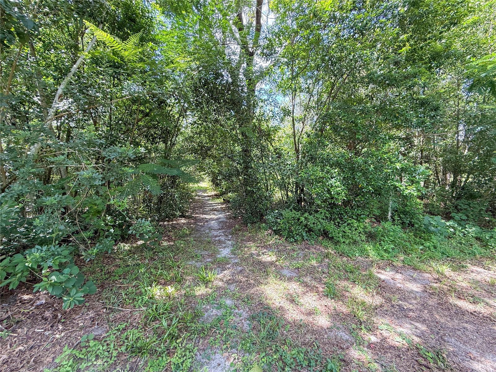 Listing photo id 14 for 9113-1 Sunshine Boulevard