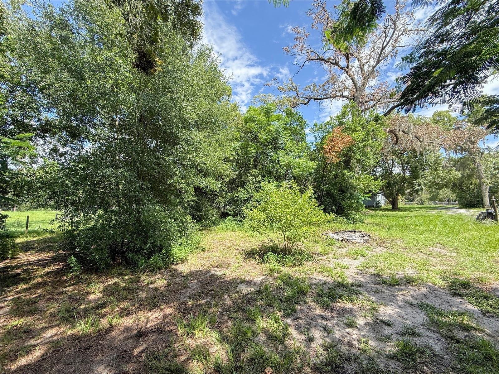Listing photo id 15 for 9113-1 Sunshine Boulevard