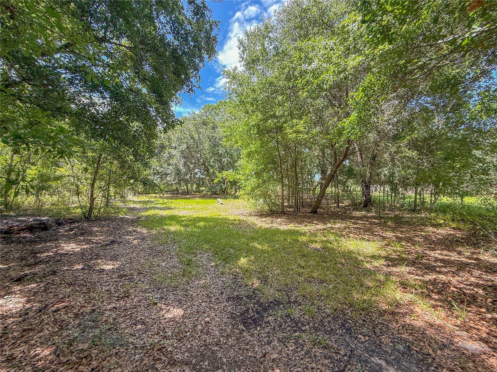 Listing photo id 16 for 9113-1 Sunshine Boulevard