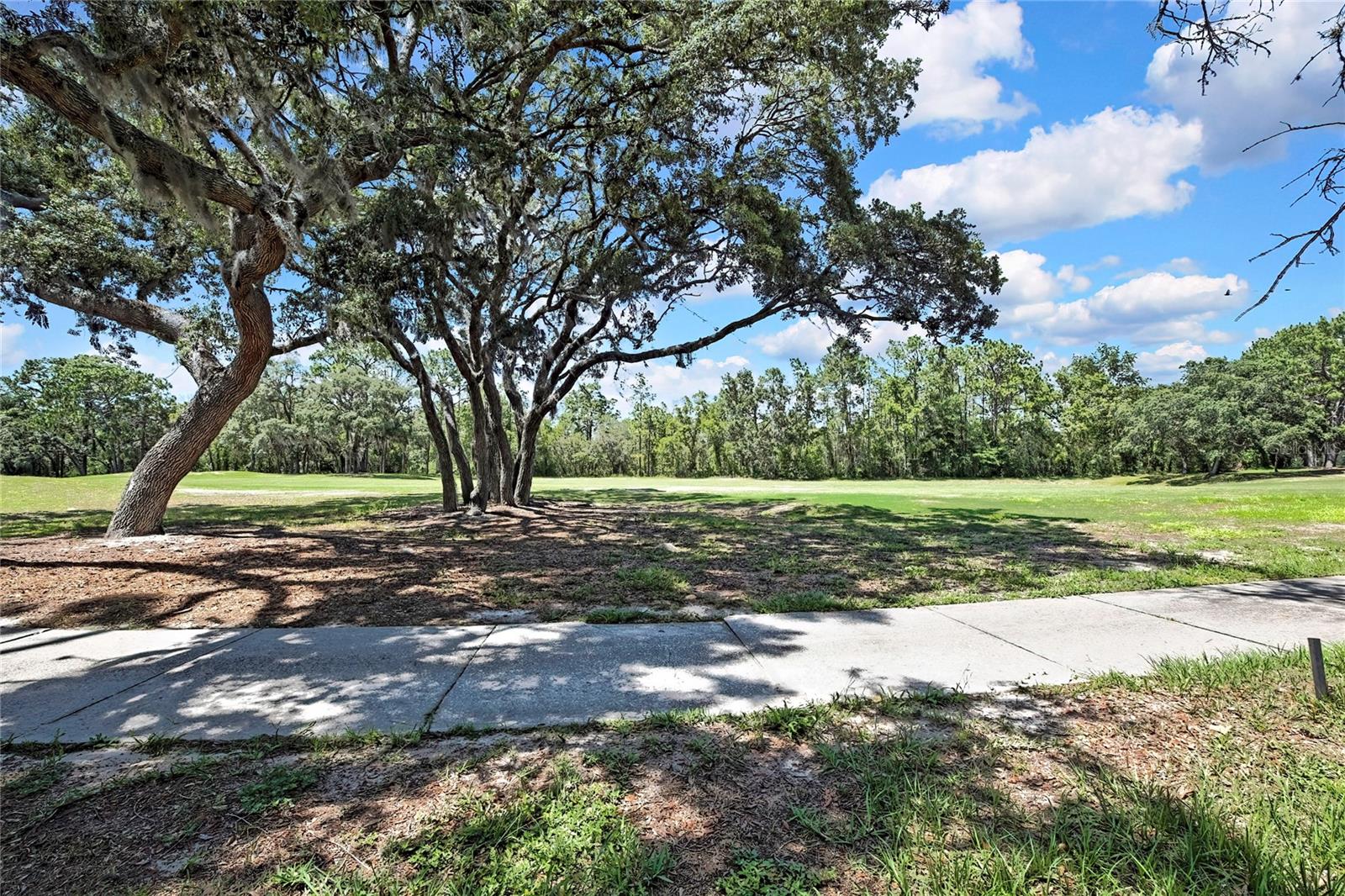Image 13 of 75 For 6 Strawood Point