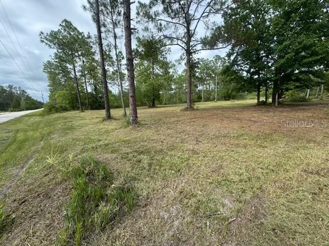 Details for 18146 Palmdale Road, WEEKI WACHEE, FL 34614
