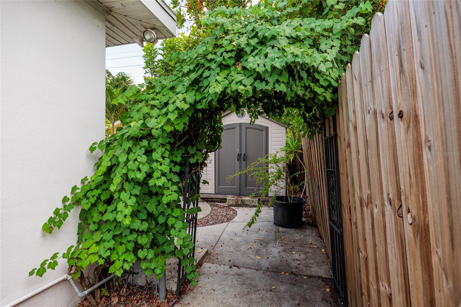Image 24 of 42 For 5564 46th Avenue N