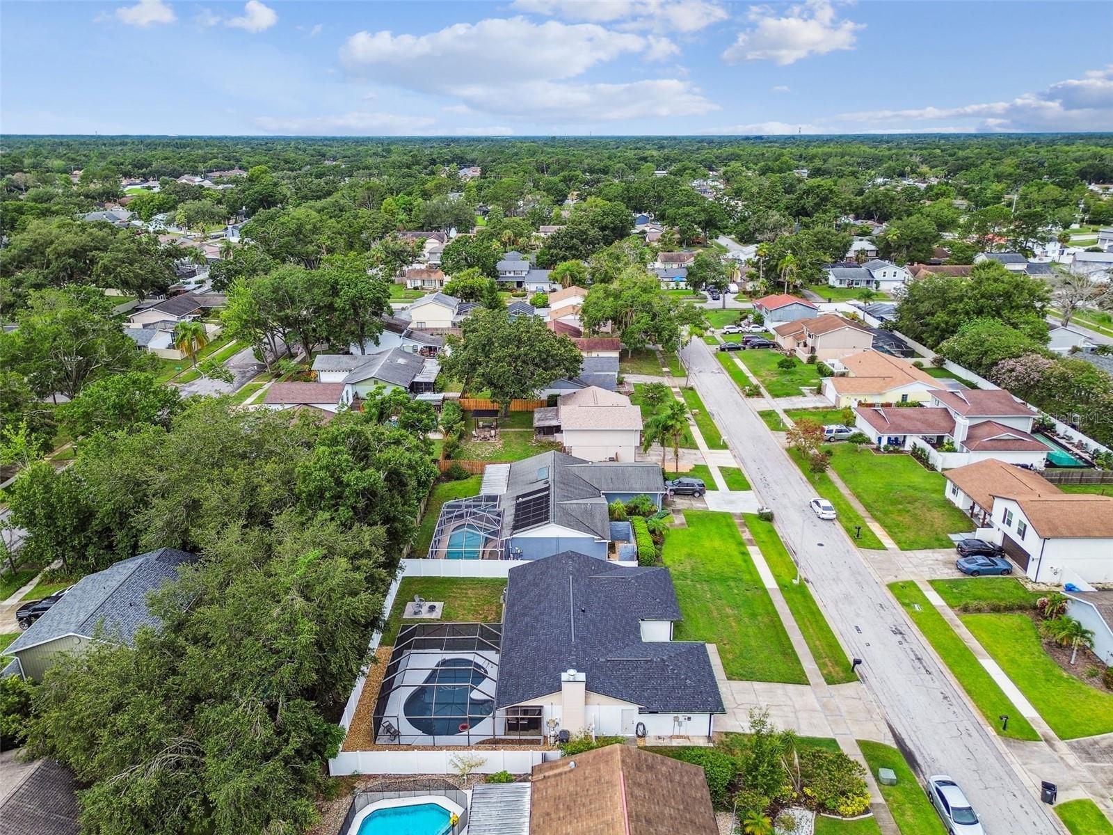 Image 39 of 40 For 4010 Mountain Springs Lane