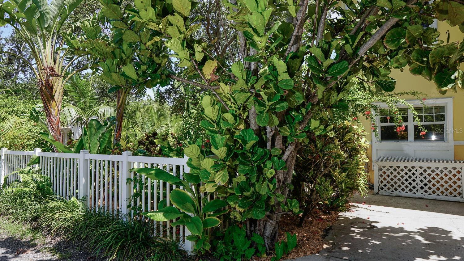 Image 84 of 98 For 1417 Beach Drive Ne