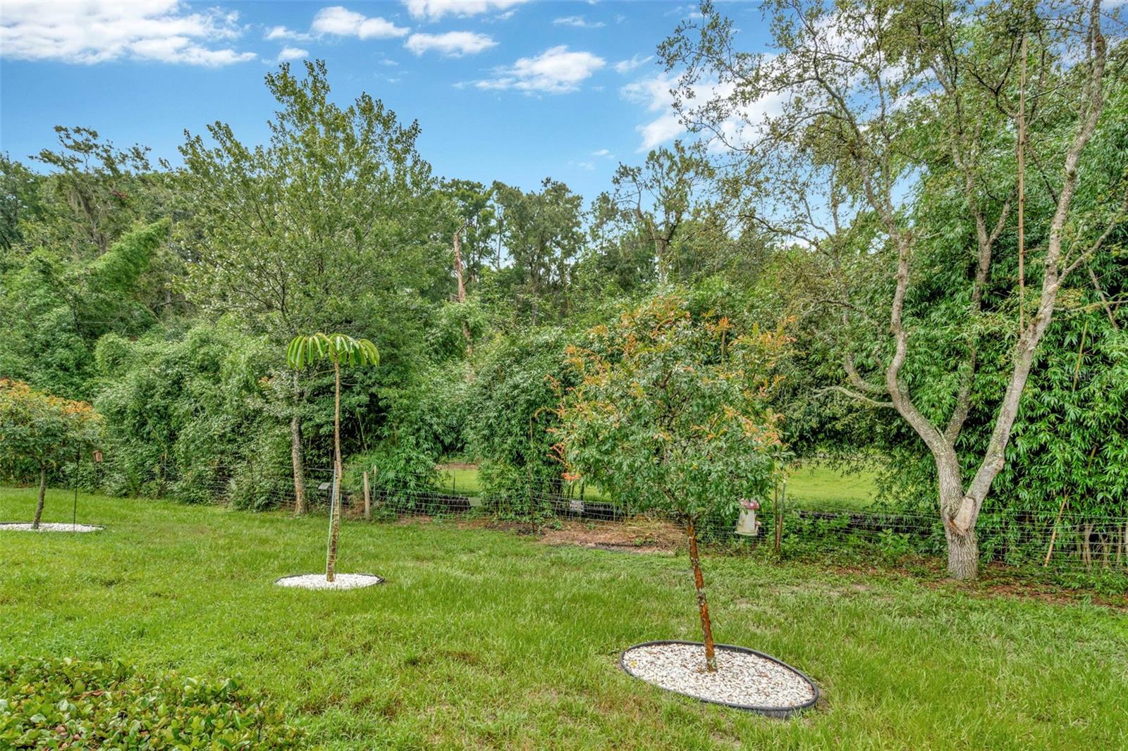 Image 36 of 41 For 11240 Merganser Way