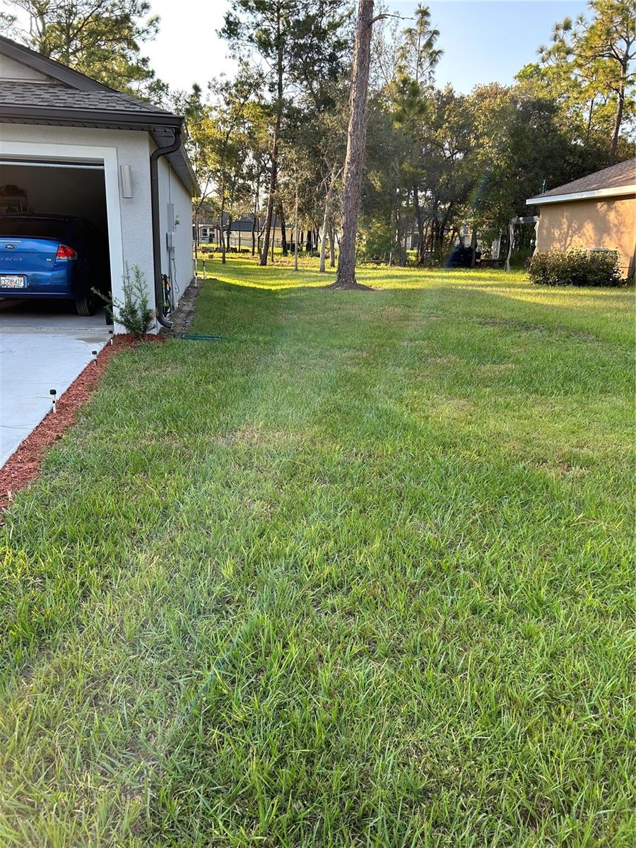 Image 31 of 33 For 12253 Island Shrike Road