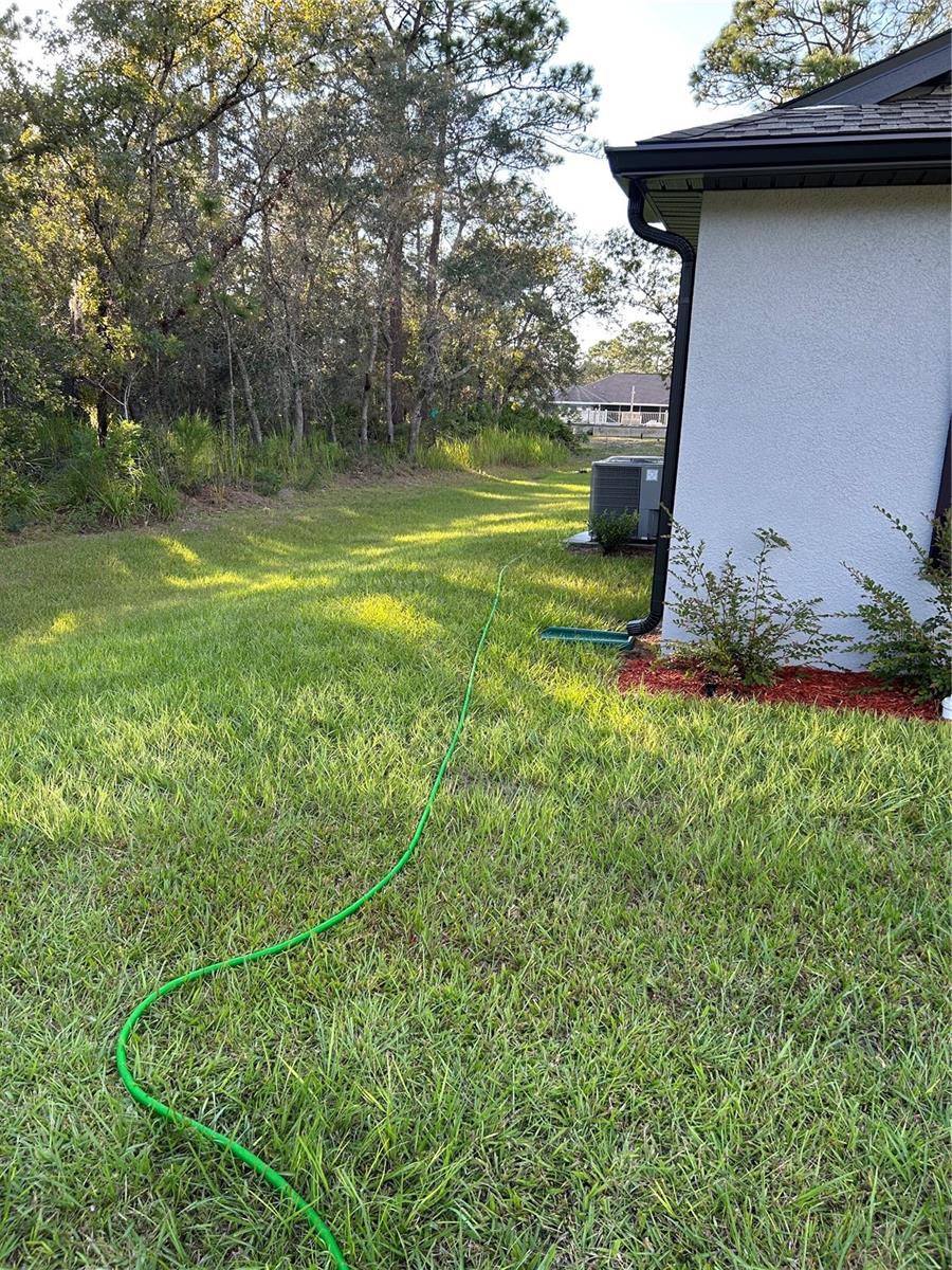 Image 32 of 33 For 12253 Island Shrike Road