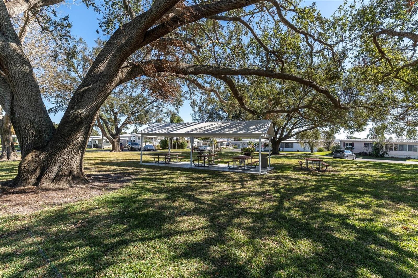 Image 63 of 64 For 9790 66th Street N 128
