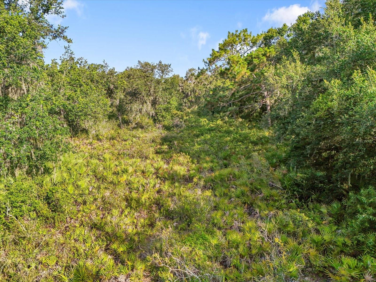 Image 6 of 12 For 5900 Dormany Road