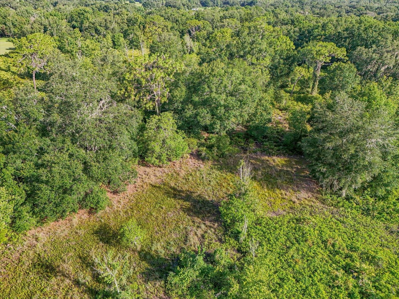 Image 7 of 12 For 5900 Dormany Road