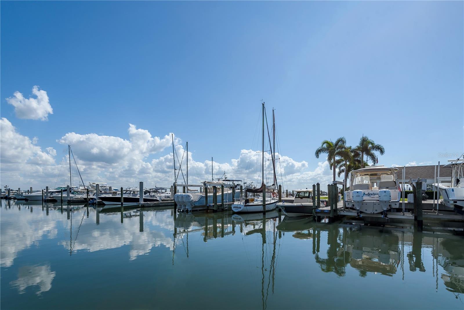 Image 36 of 39 For 6210 Bayshore Boulevard
