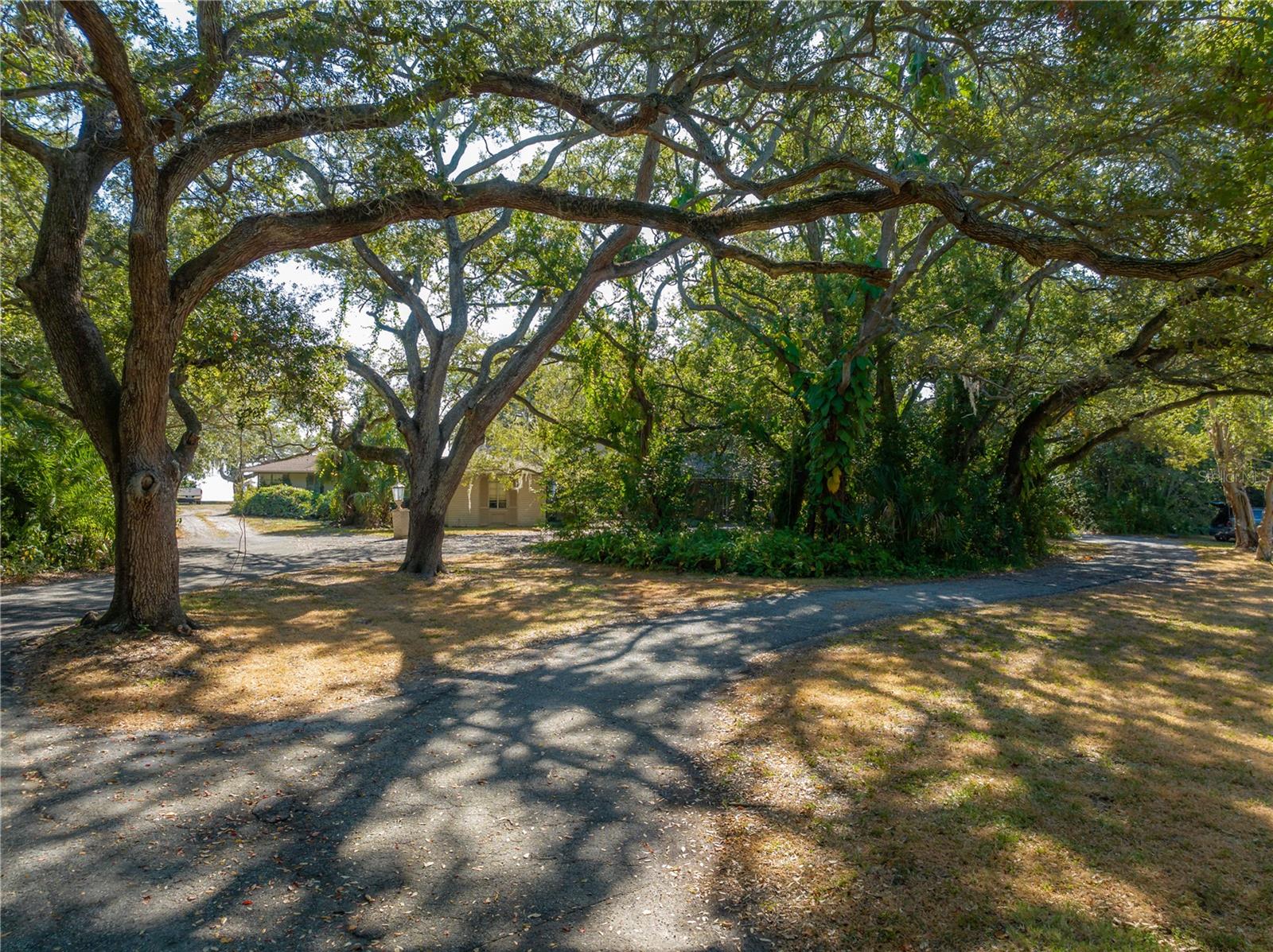 Image 7 of 39 For 6210 Bayshore Boulevard
