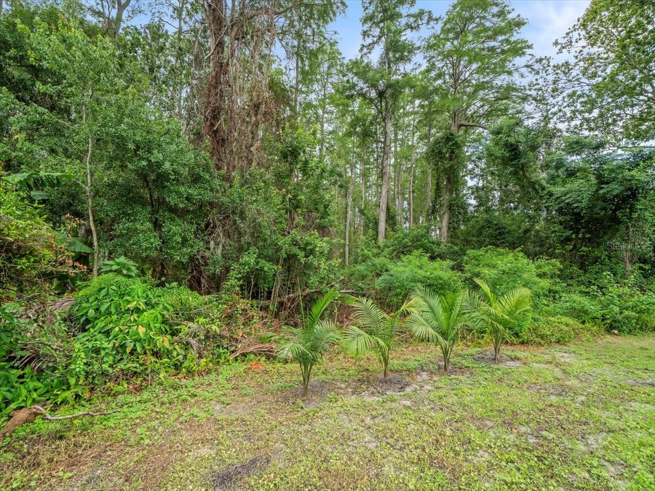 Image 44 of 48 For 3334 Westmoreland Drive
