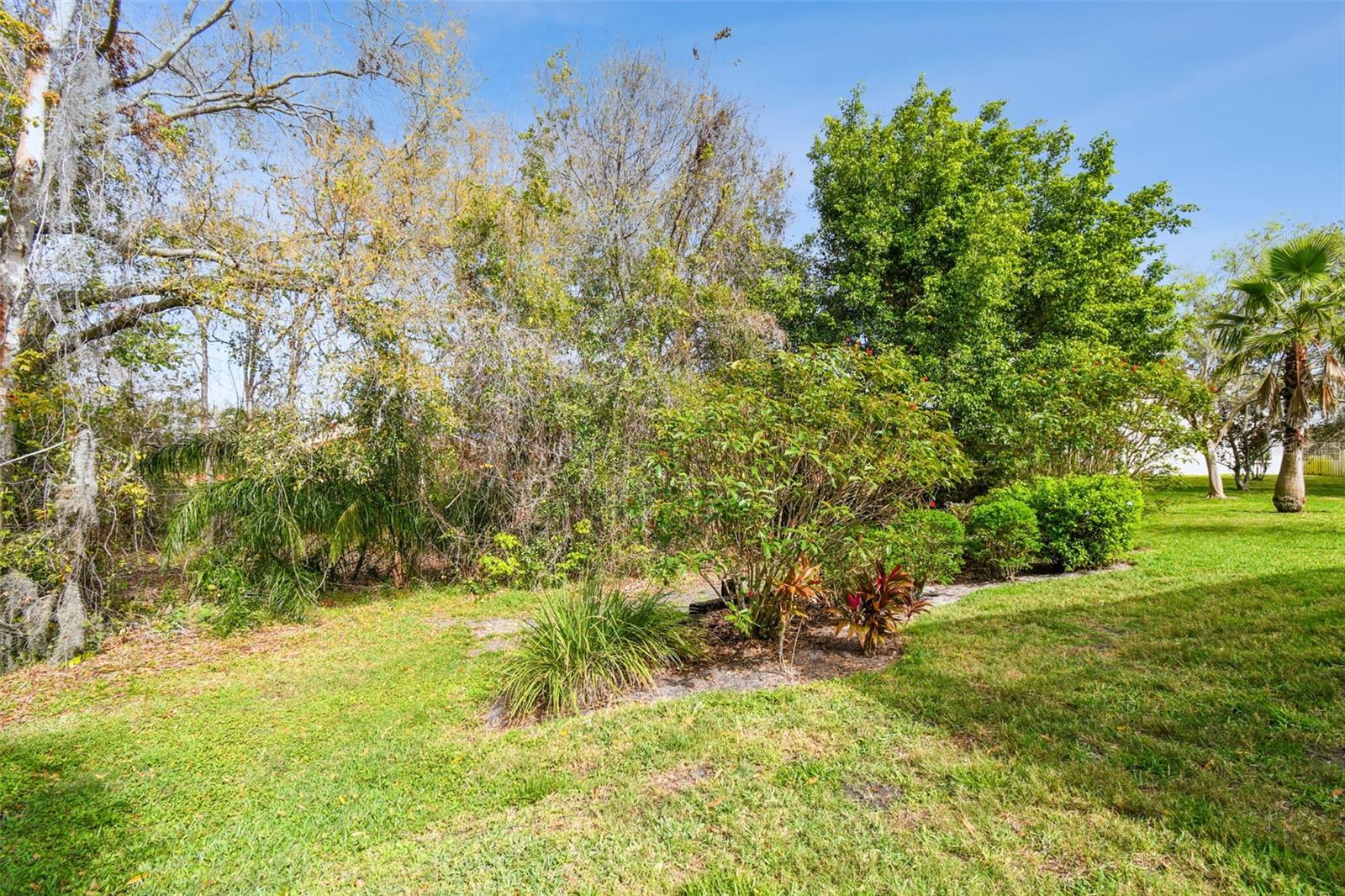 Listing photo id 65 for 15209 Hammock Chase Court