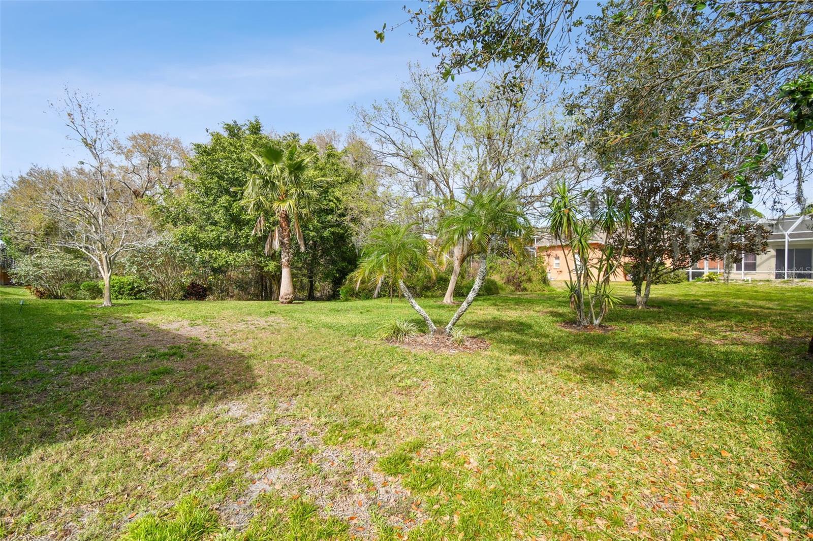 Listing photo id 67 for 15209 Hammock Chase Court