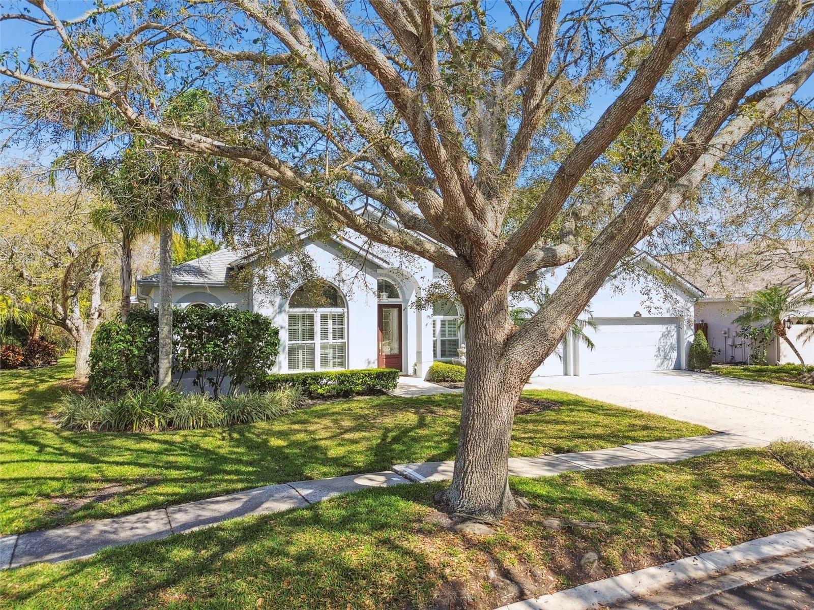 Listing photo id 69 for 15209 Hammock Chase Court
