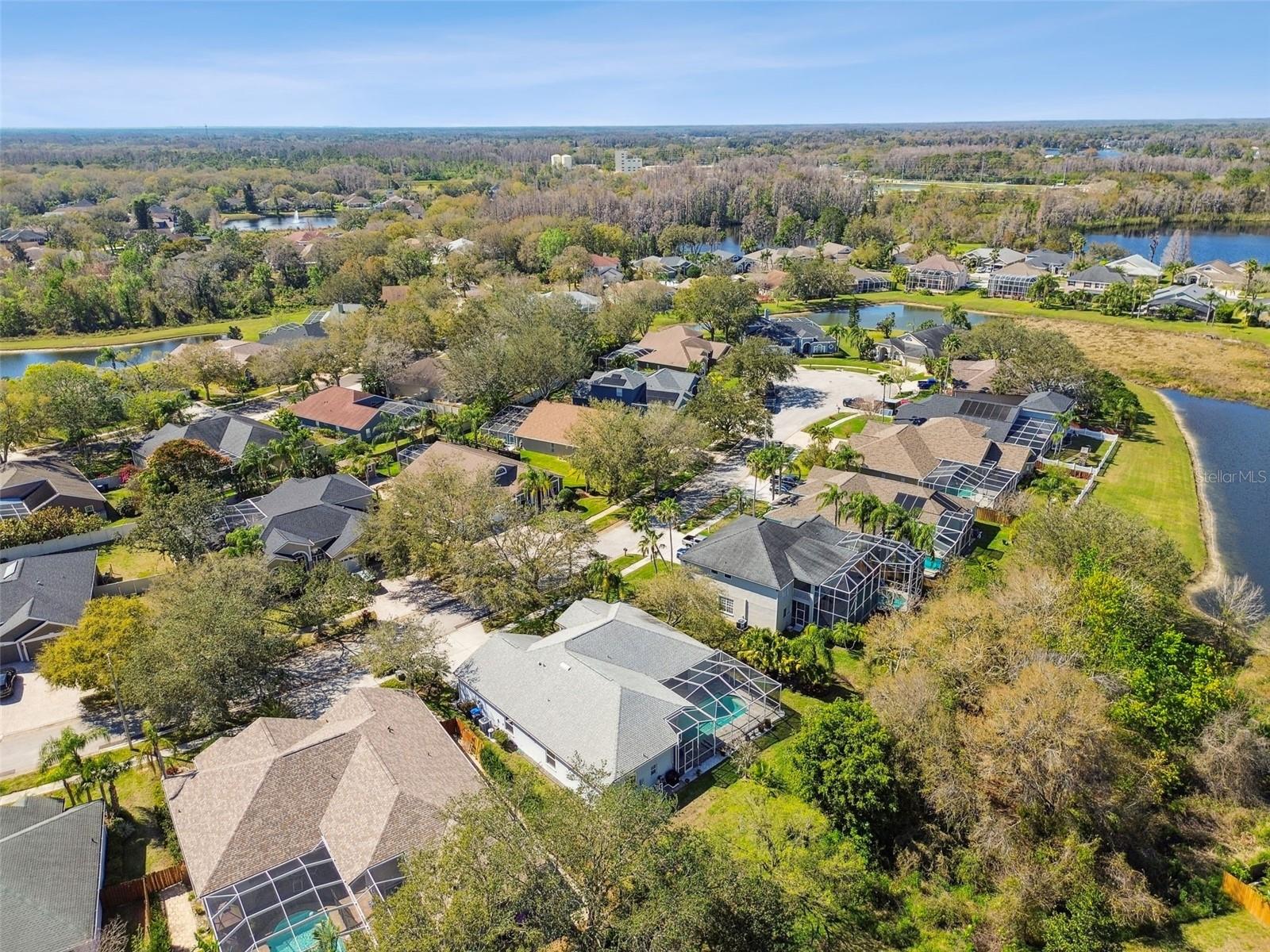 Listing photo id 71 for 15209 Hammock Chase Court