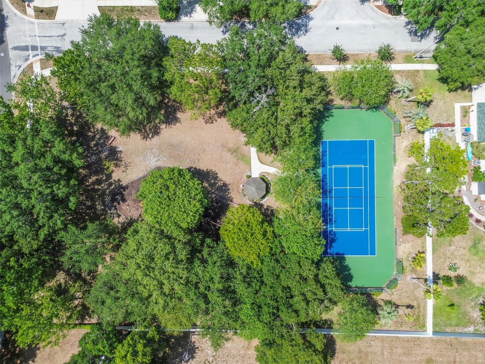 Listing photo id 75 for 15209 Hammock Chase Court