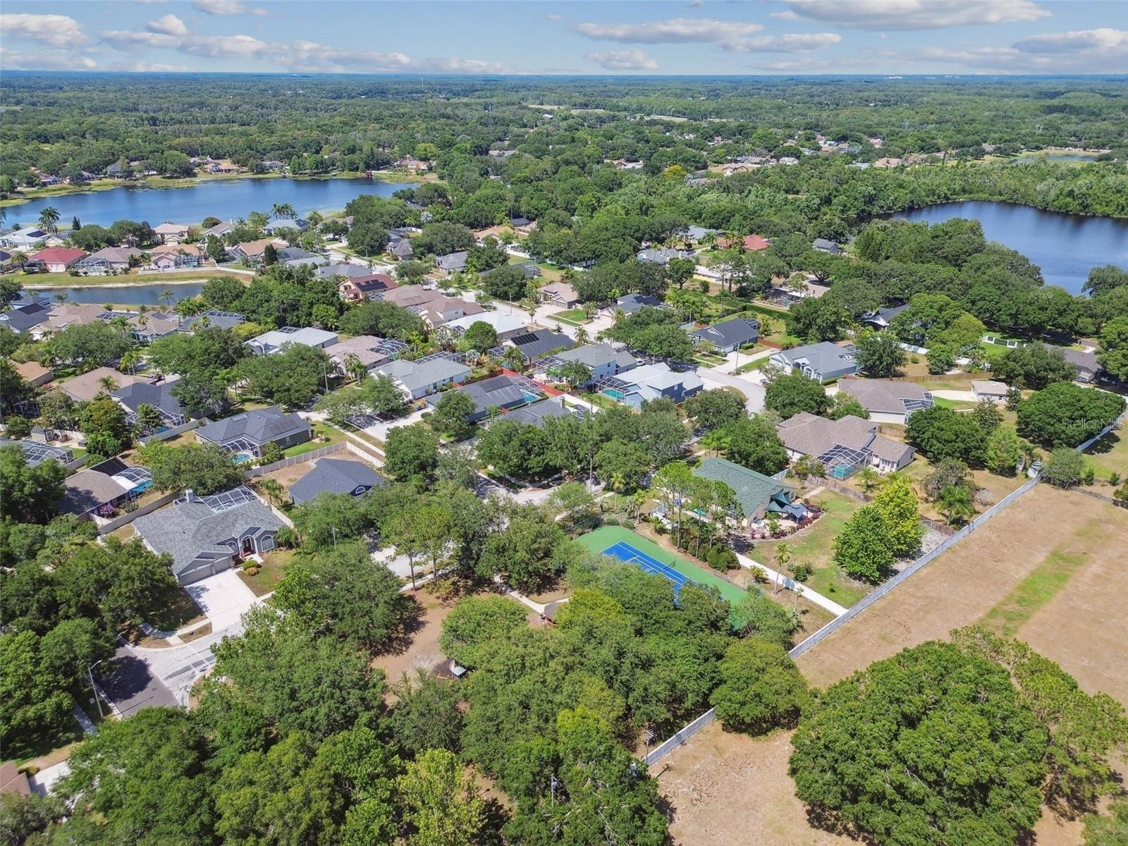 Listing photo id 76 for 15209 Hammock Chase Court