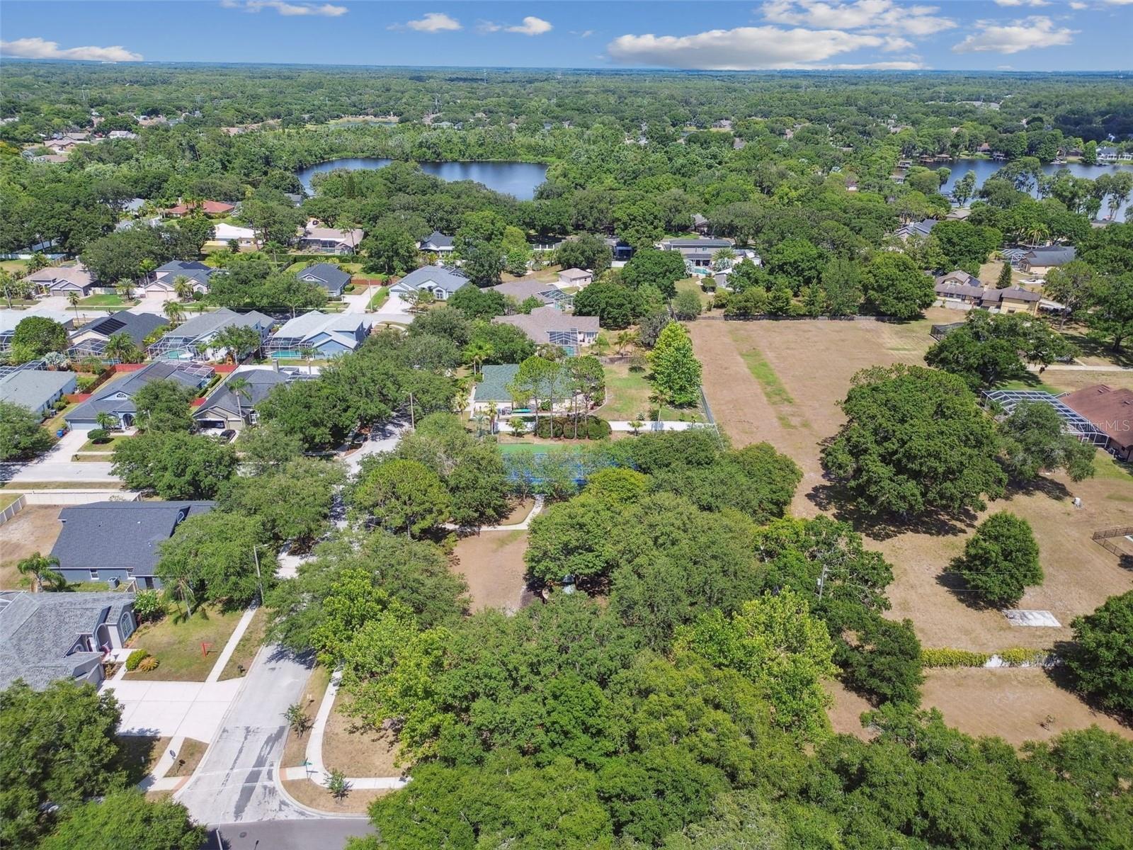 Listing photo id 77 for 15209 Hammock Chase Court