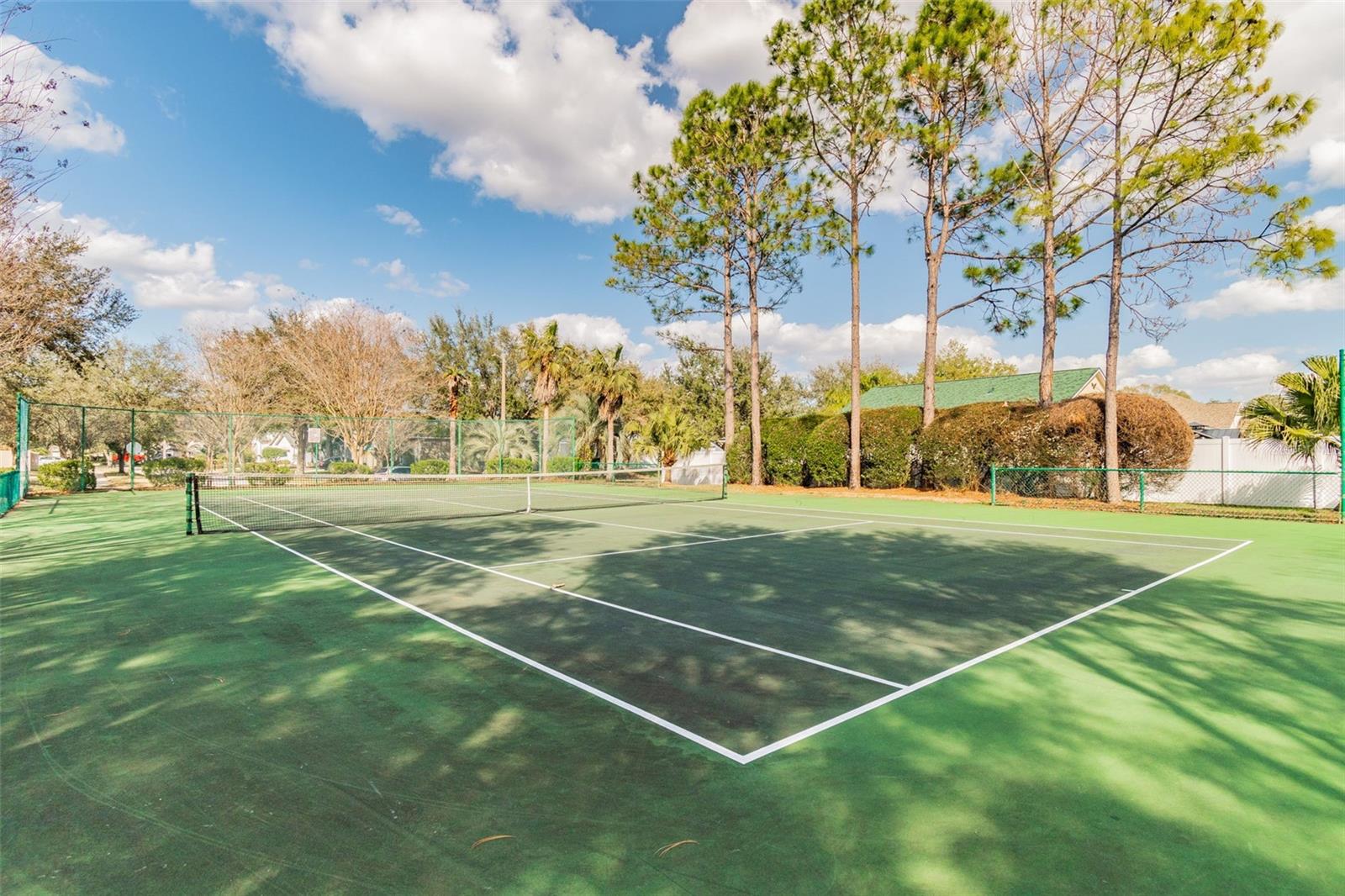 Listing photo id 79 for 15209 Hammock Chase Court
