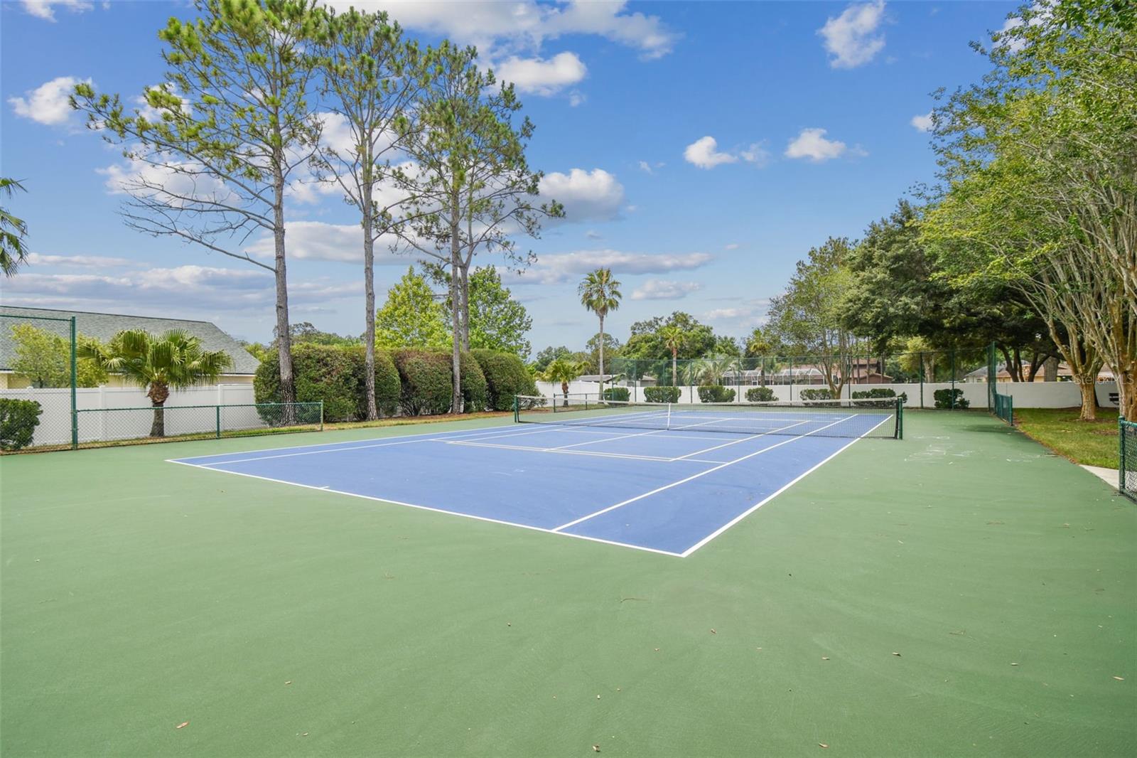 Listing photo id 80 for 15209 Hammock Chase Court