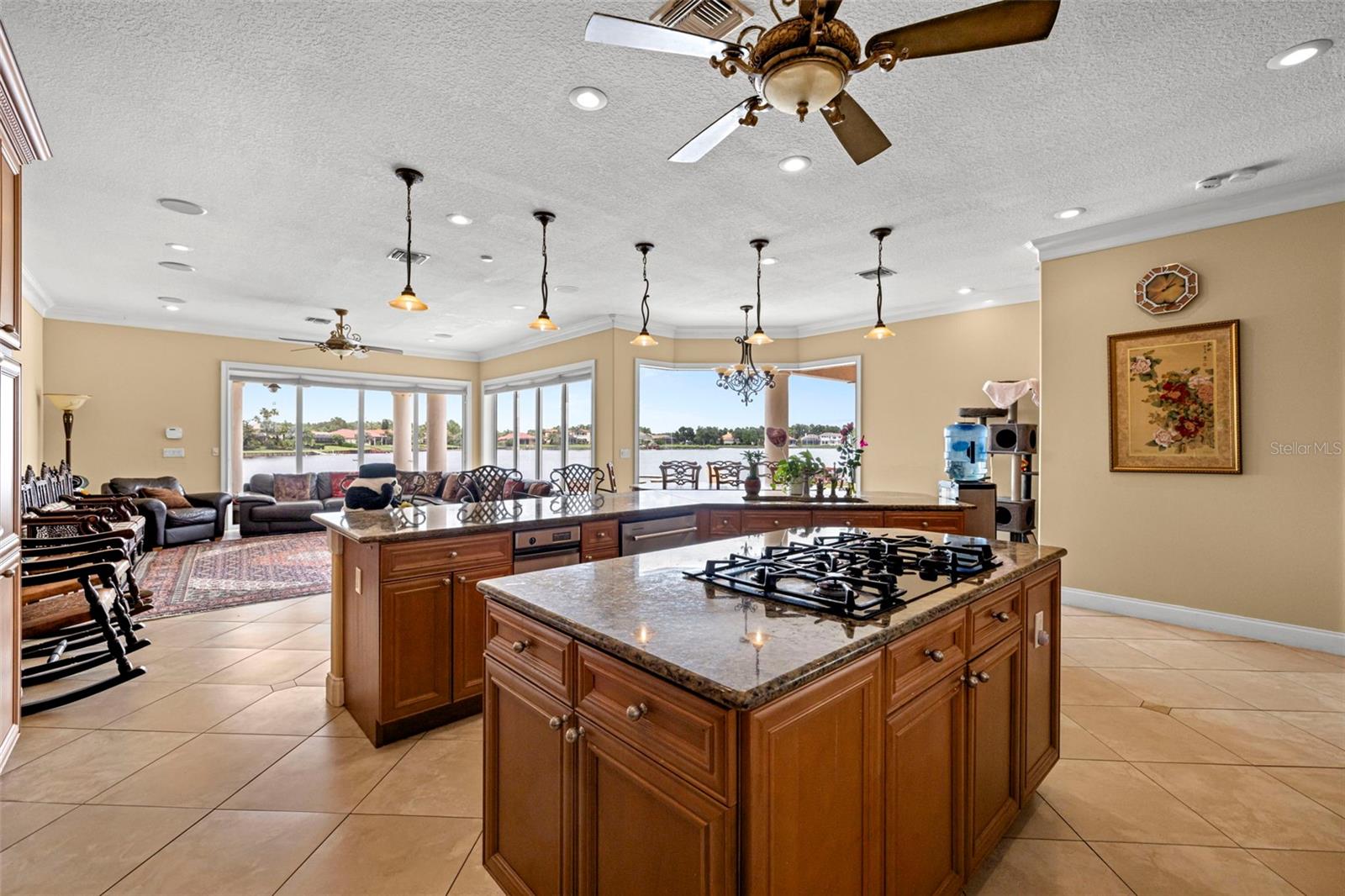 Image 12 of 68 For 10549 Cory Lake Drive