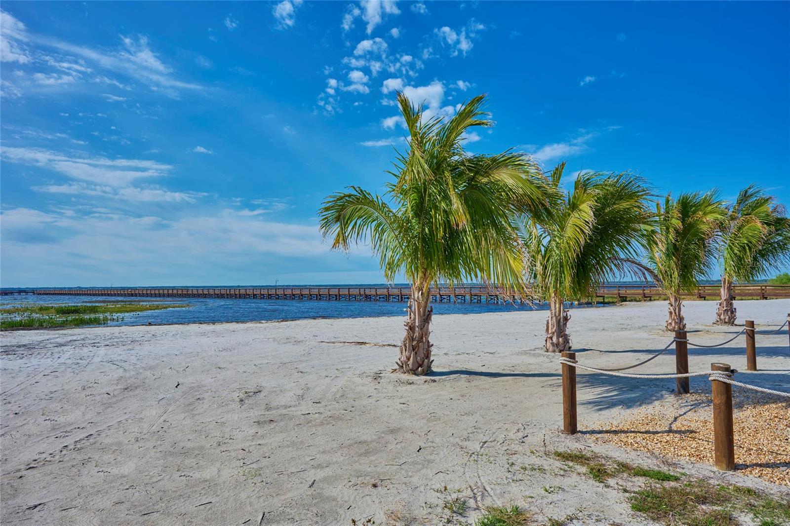 Image 74 of 96 For 6168 Arborea Drive