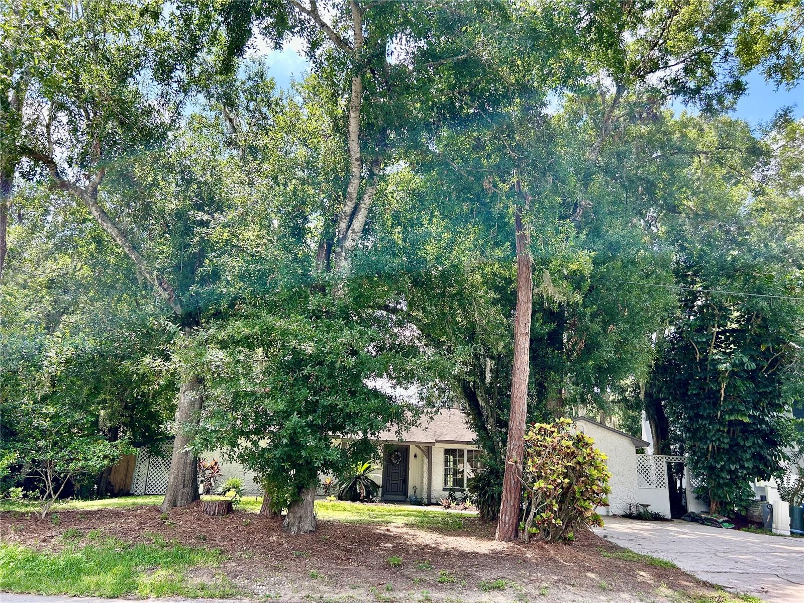 Listing photo id 0 for 17017 Paula Lane
