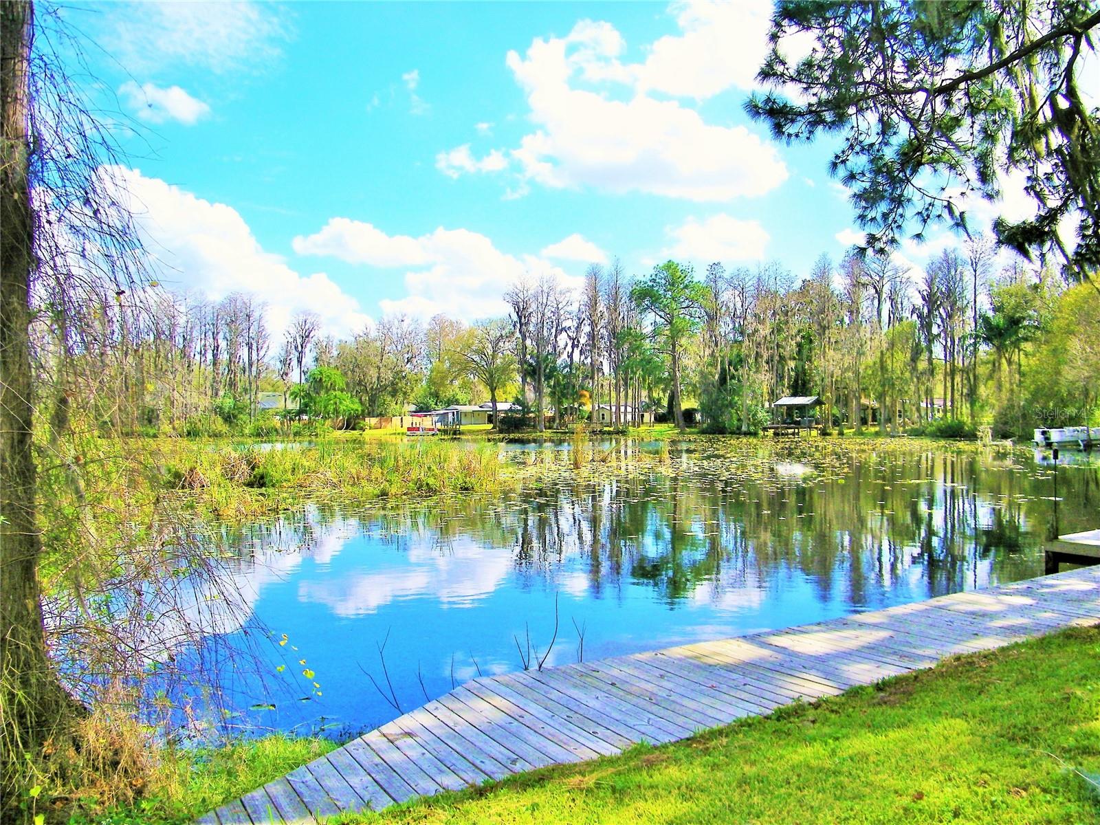 Listing photo id 38 for 17017 Paula Lane