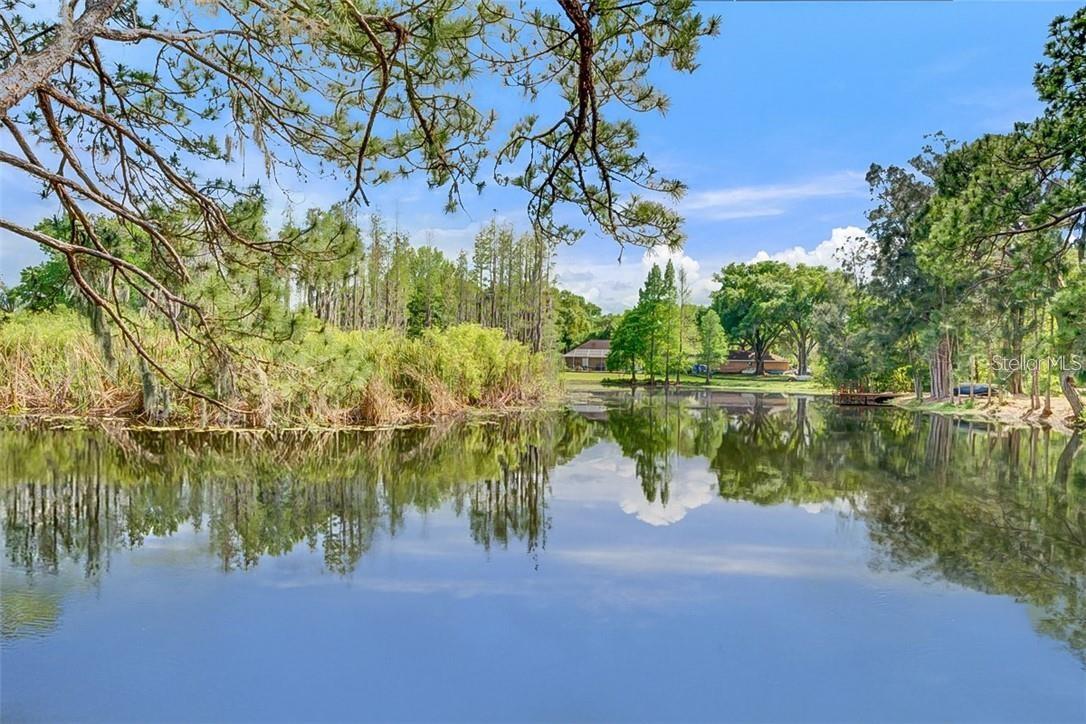 Listing photo id 47 for 17017 Paula Lane