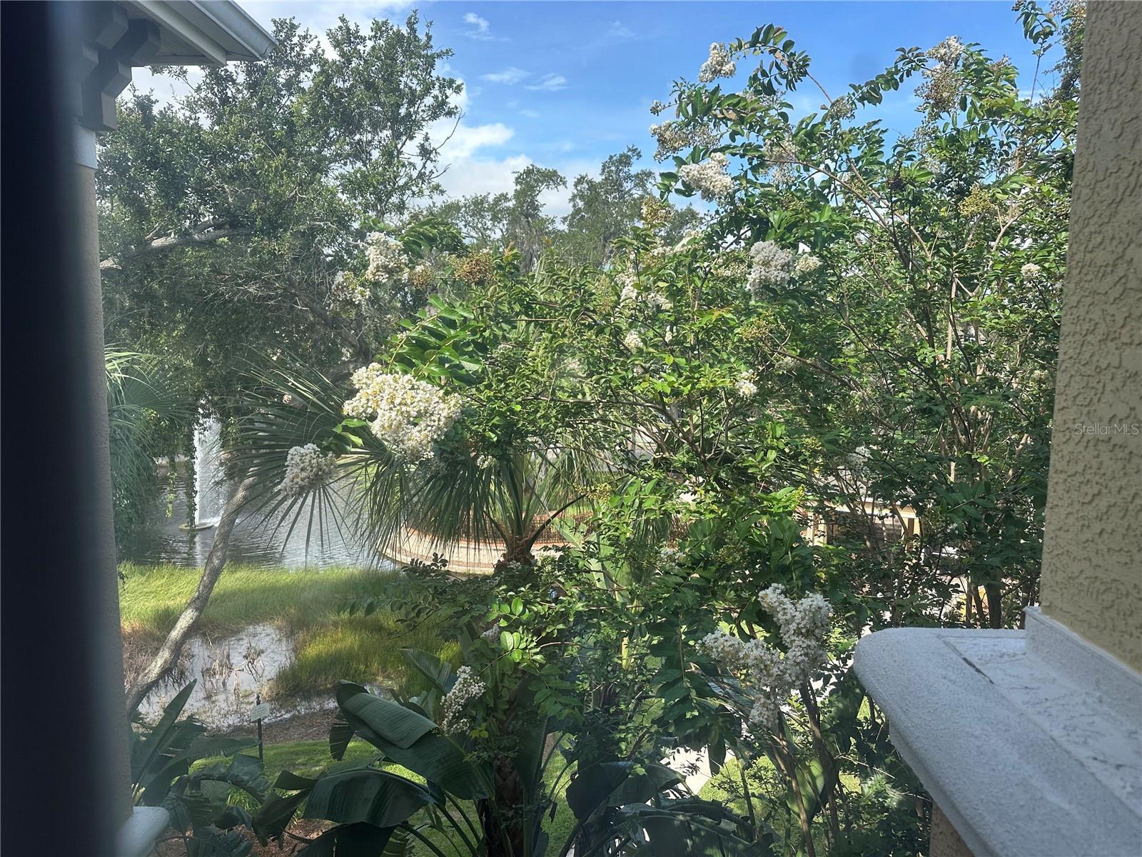 Image 15 of 16 For 10021 Courtney Palms Boulevard 303