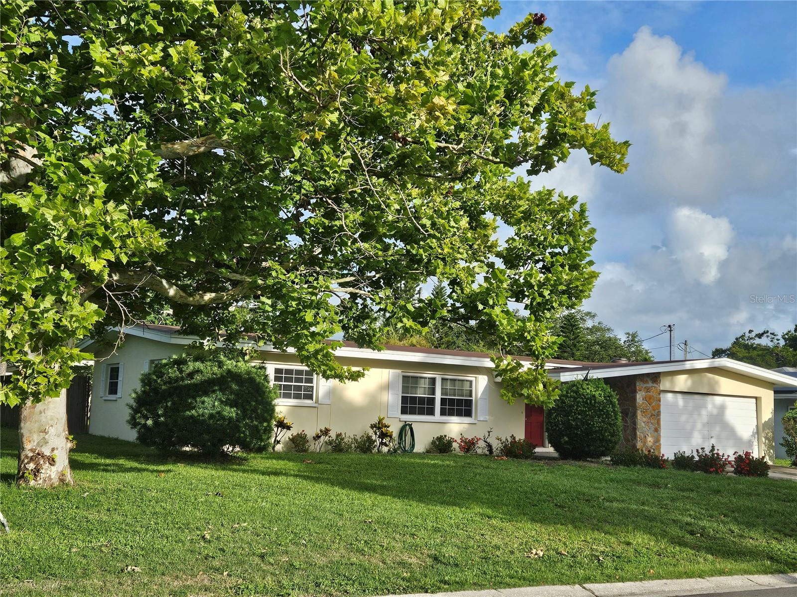 Details for 1596 Evergreen Avenue, CLEARWATER, FL 33756